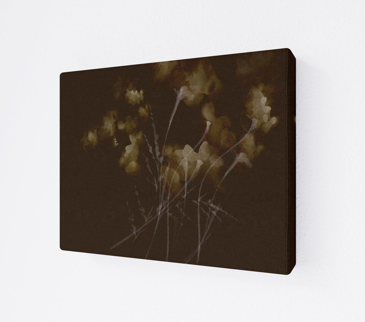 CANV-0000-0000-0000-14X11-P00-0015-260921-PITRND-026001