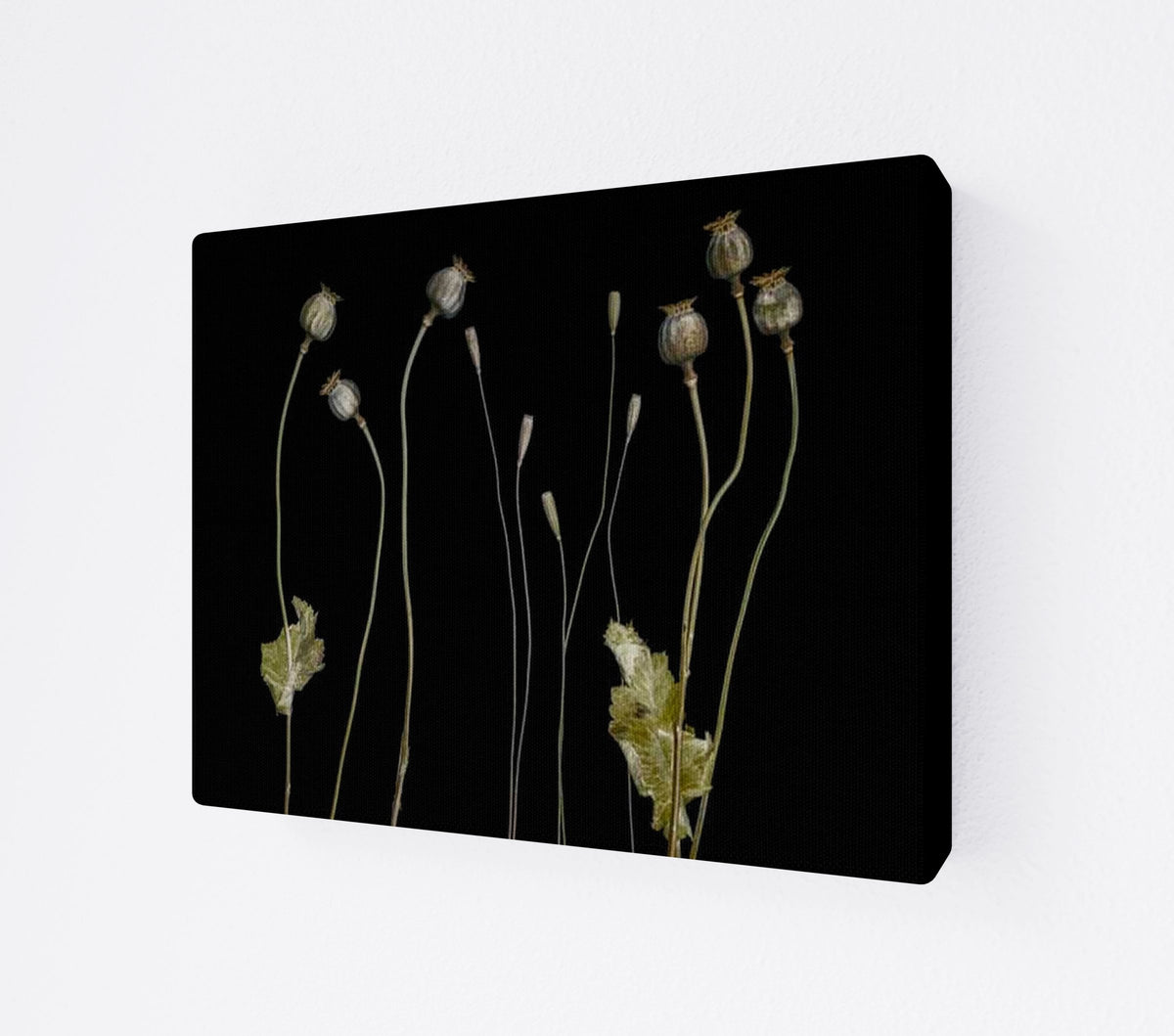 CANV-0000-0000-0000-14X11-P01-0189-210419-1XXXXX-009101