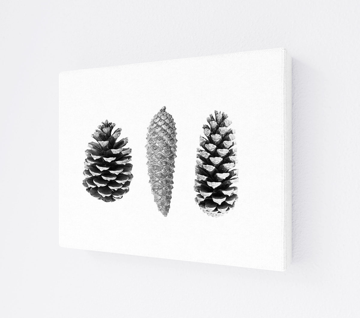 CANV-0000-0000-0000-14X11-P01-9998-261006-1XXXX2-030301