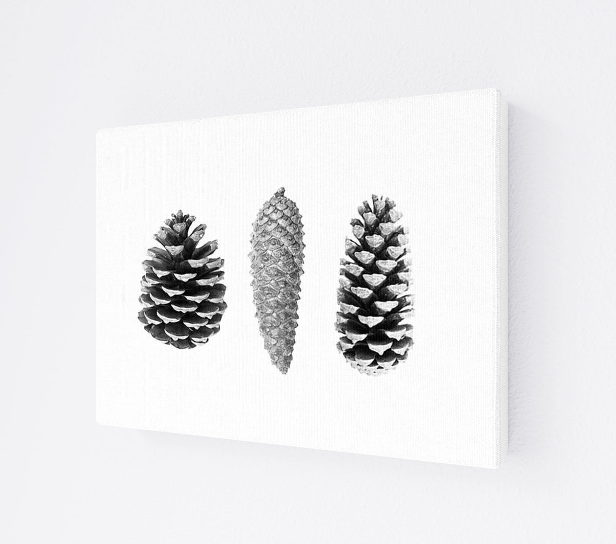 CANV-0000-0000-0000-16X12-P01-9998-261006-1XXXX2-030301