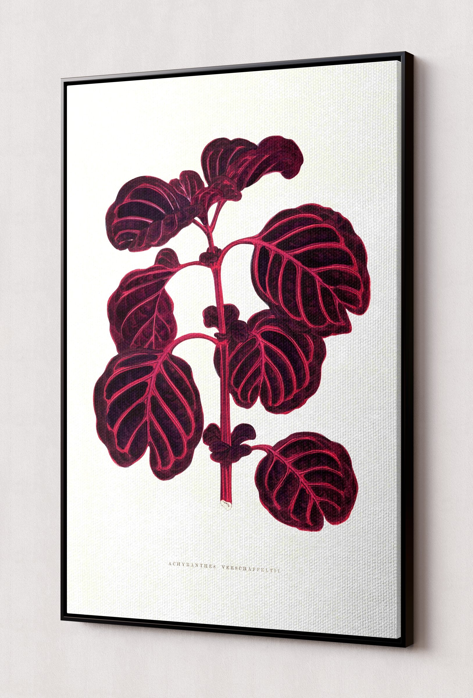 CANV-BLKF-0000-0000-20X30-P98-0007-251030A-OPNGAL-004801