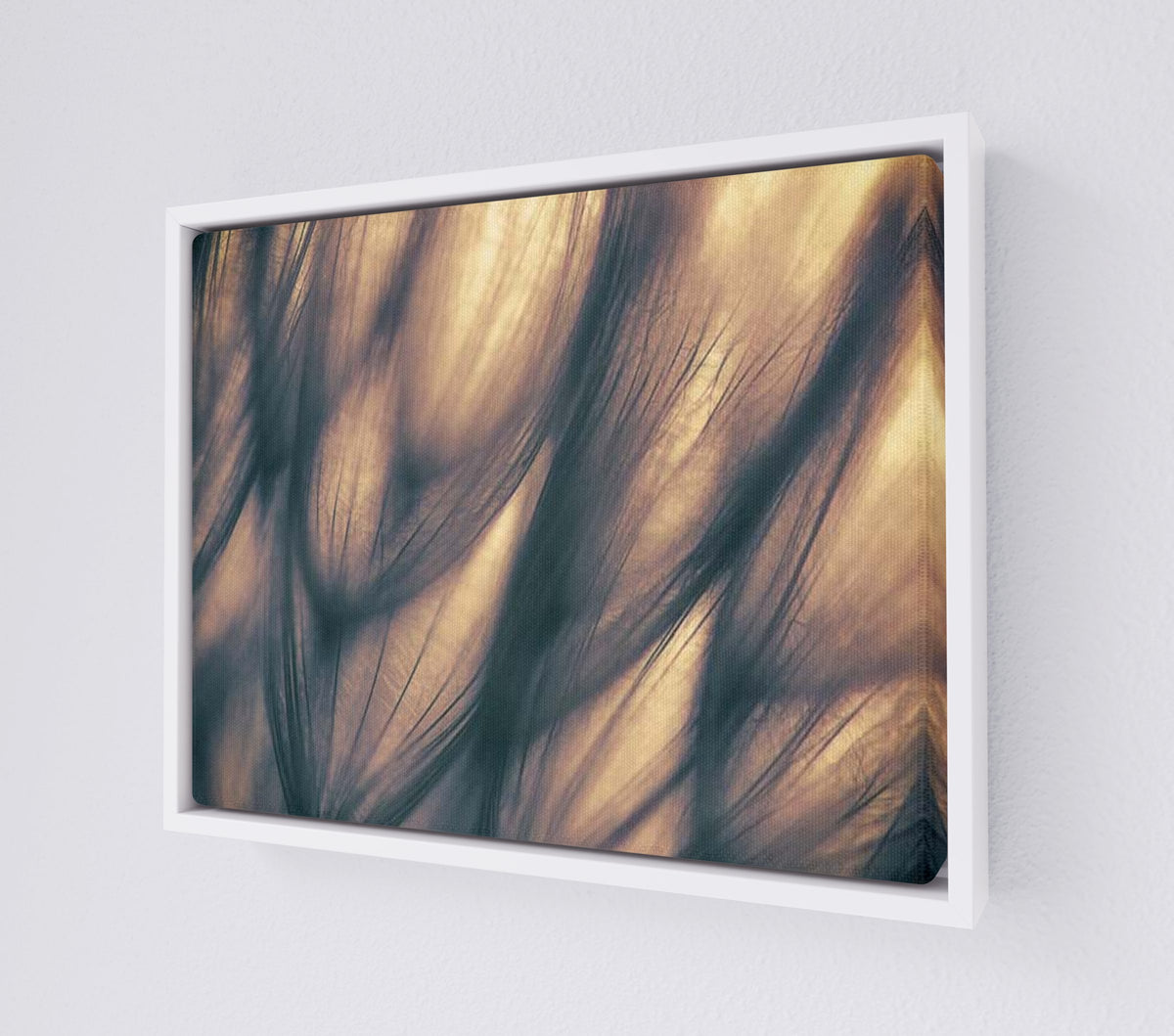 CANV-WHTF-0000-0000-14X11-P01-9998-260904-1XXXX2-018701