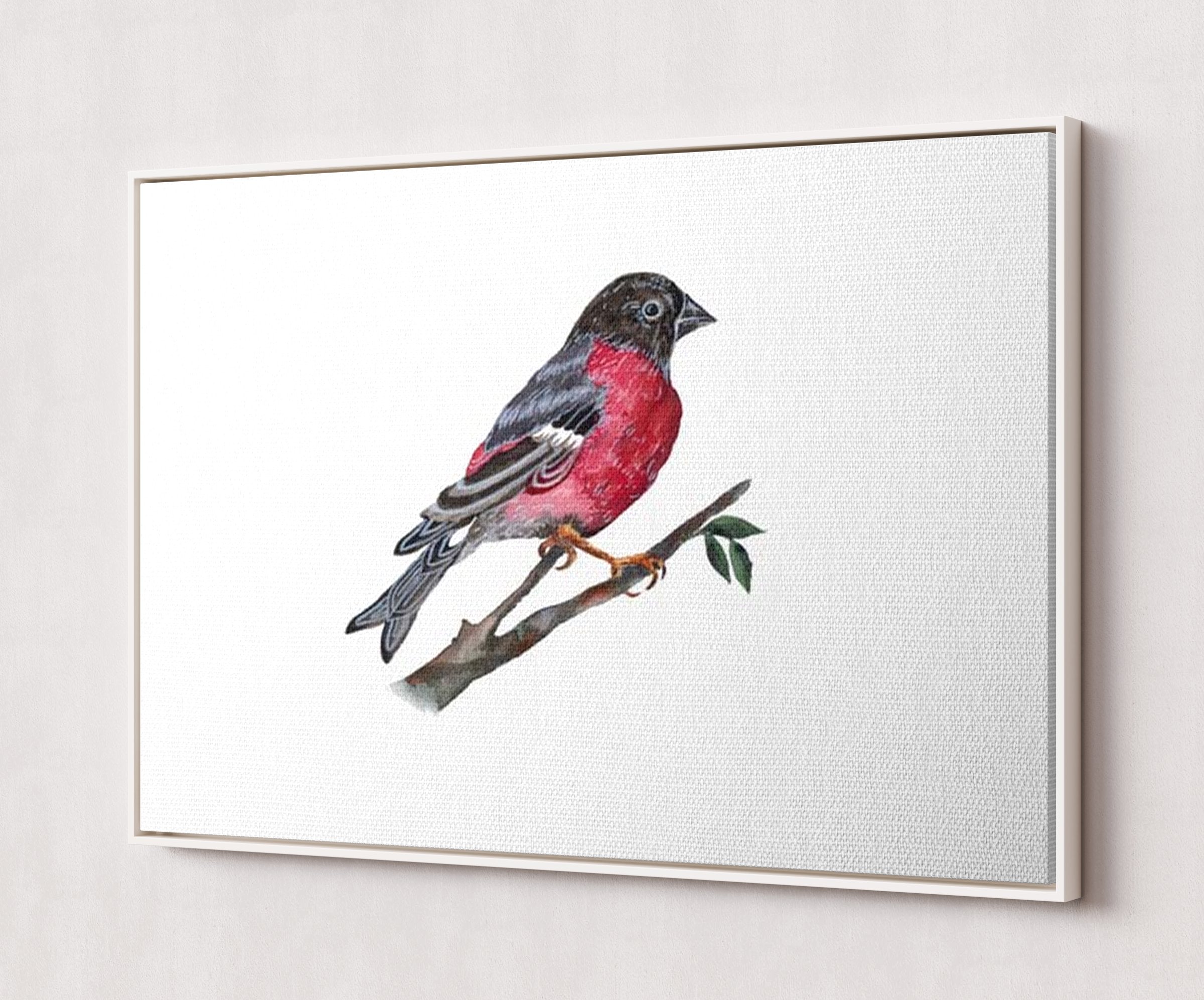 CANV-WHTF-0000-0000-30X20-P01-0190-260602-1XXXXX-167501