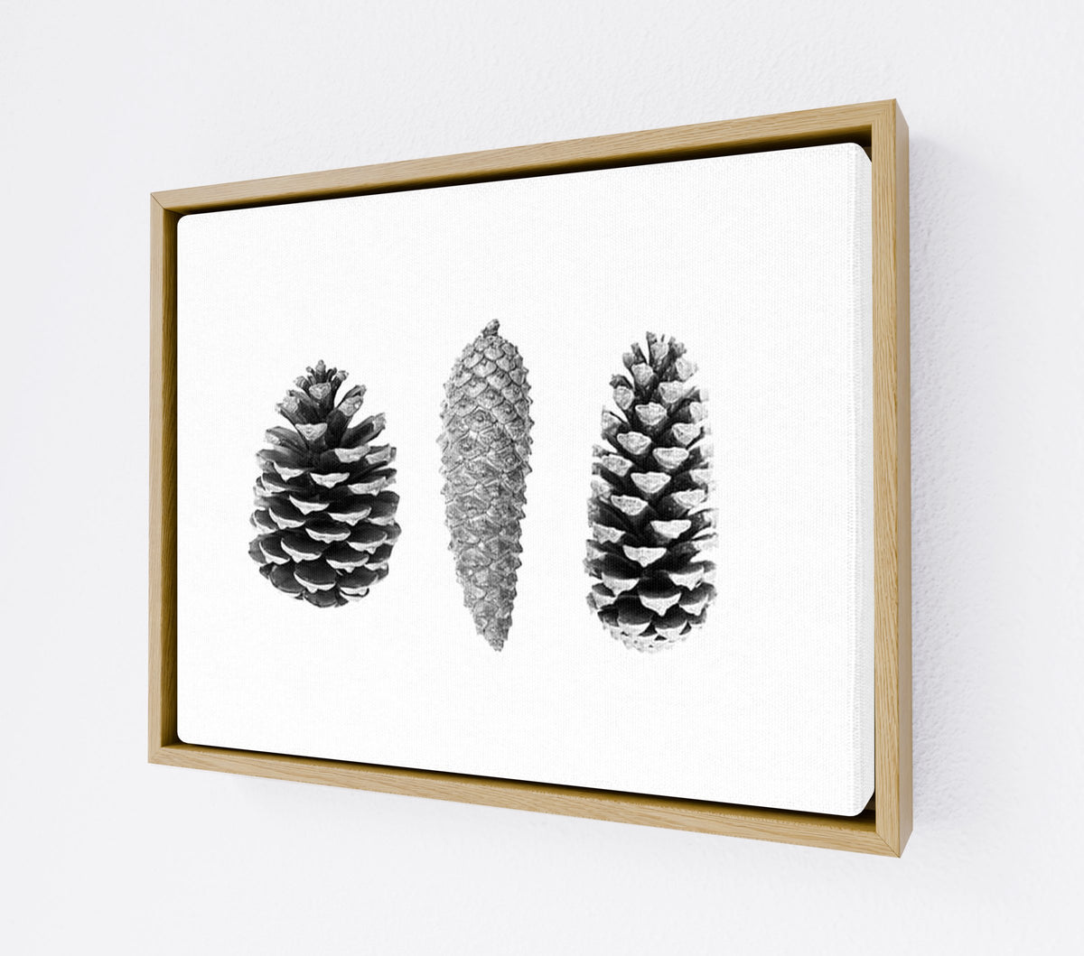 CANV-WODF-0000-0000-14X11-P01-9998-261006-1XXXX2-030301