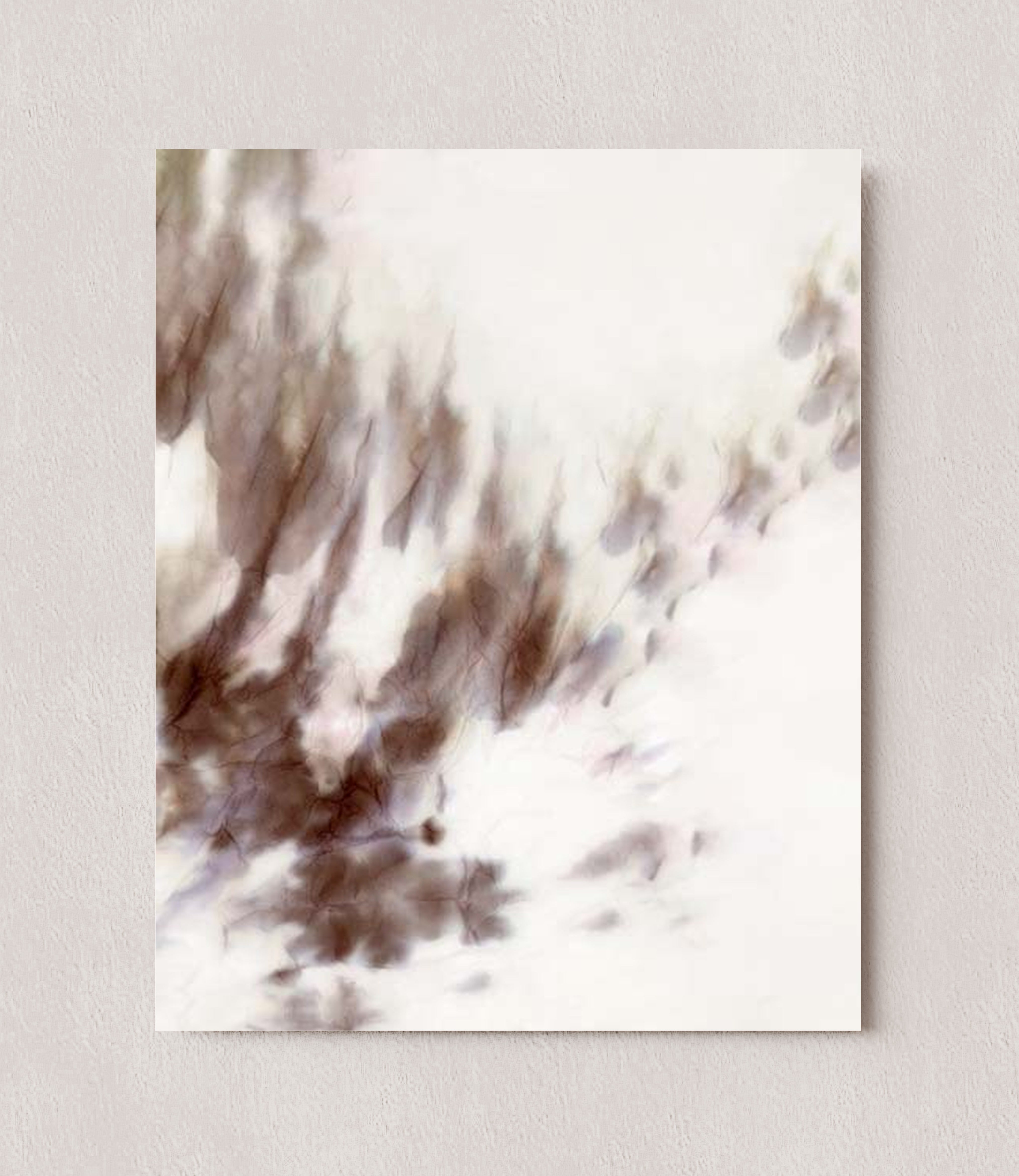 MPPR-0000-0000-0000-08X10-P00-0194-241204-PISTPB-072501
