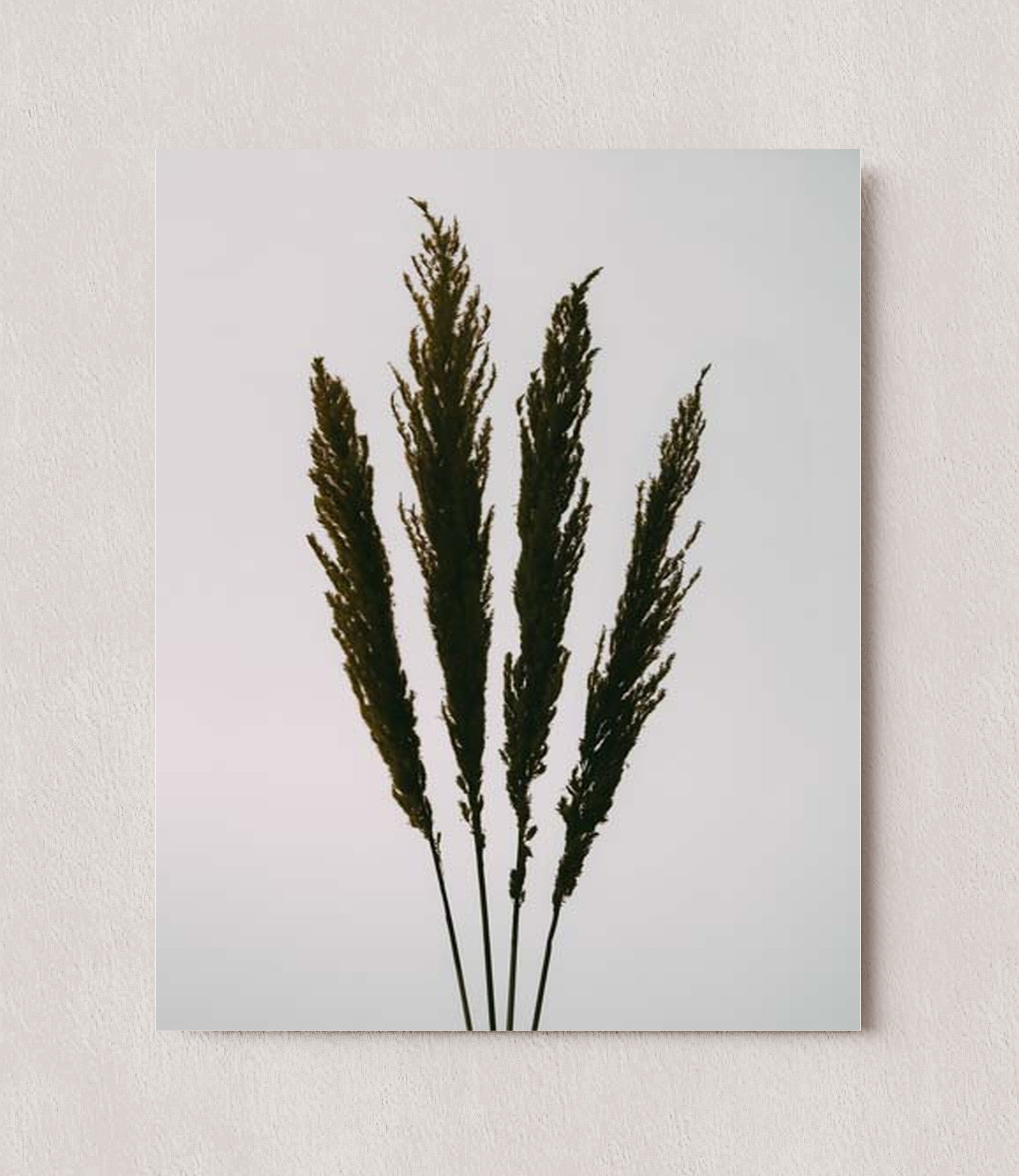 MPPR-0000-0000-0000-08X10-P01-0189-220413-1XXXXX-031401