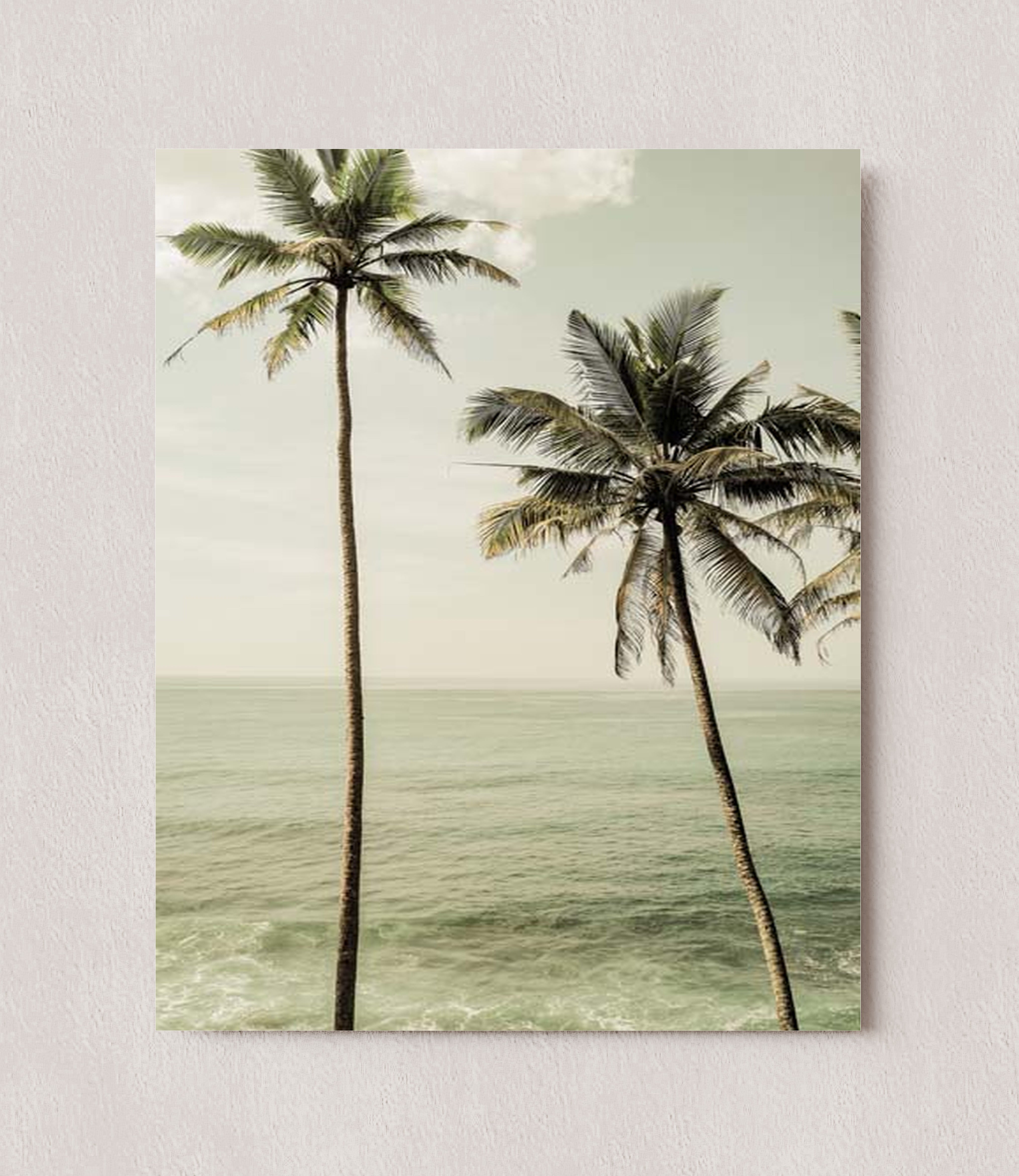 MPPR-0000-0000-0000-08X10-P01-0190-260601-1XXXXX-158601
