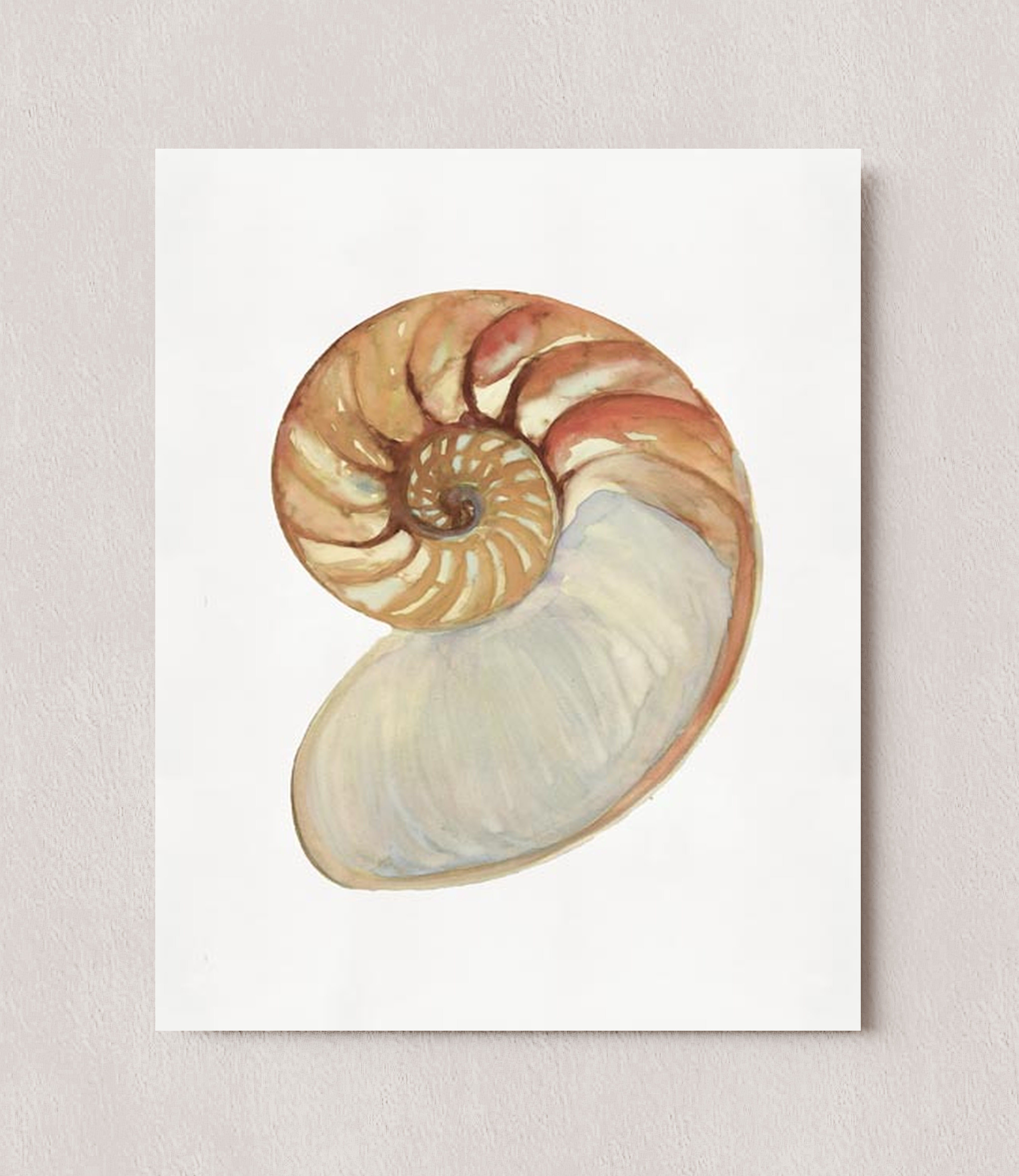 MPPR-0000-0000-0000-08X10-P01-0254-190801-STDEST-007401