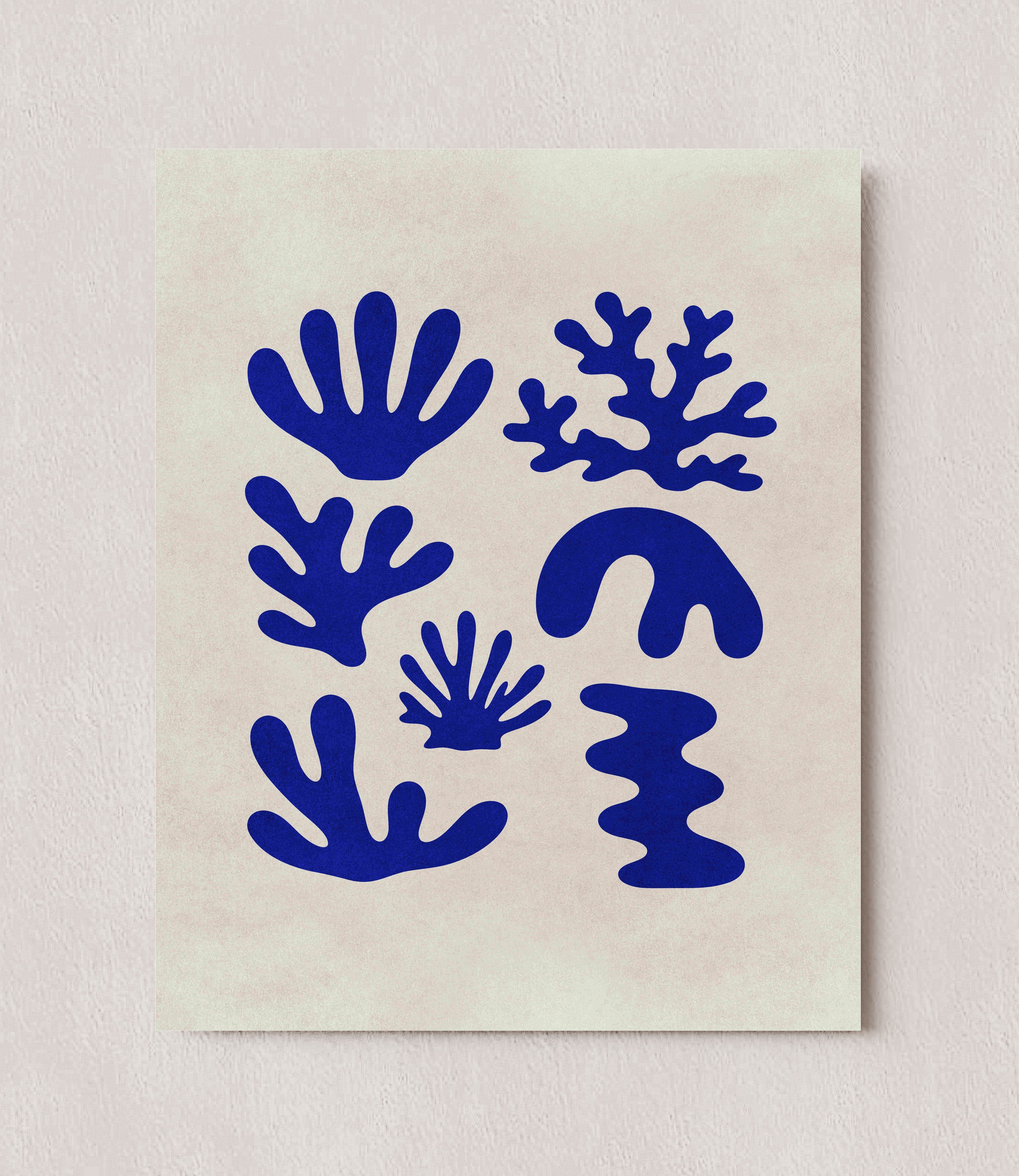 MPPR-0000-0000-0000-08X10-P98-0015-260424A-PITRND-000701