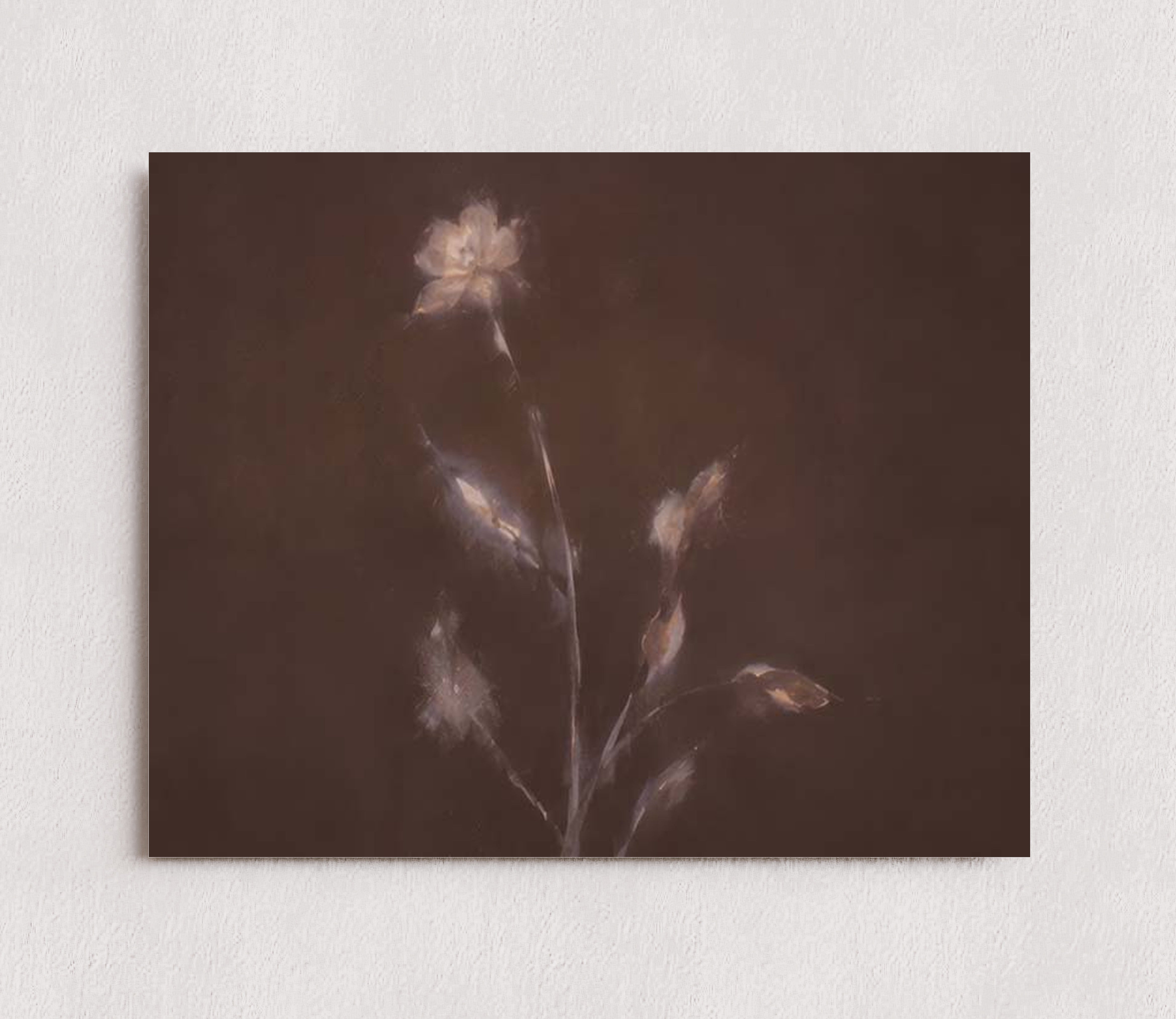 MPPR-0000-0000-0000-10X08-P01-0184-260704-IREORL-061101