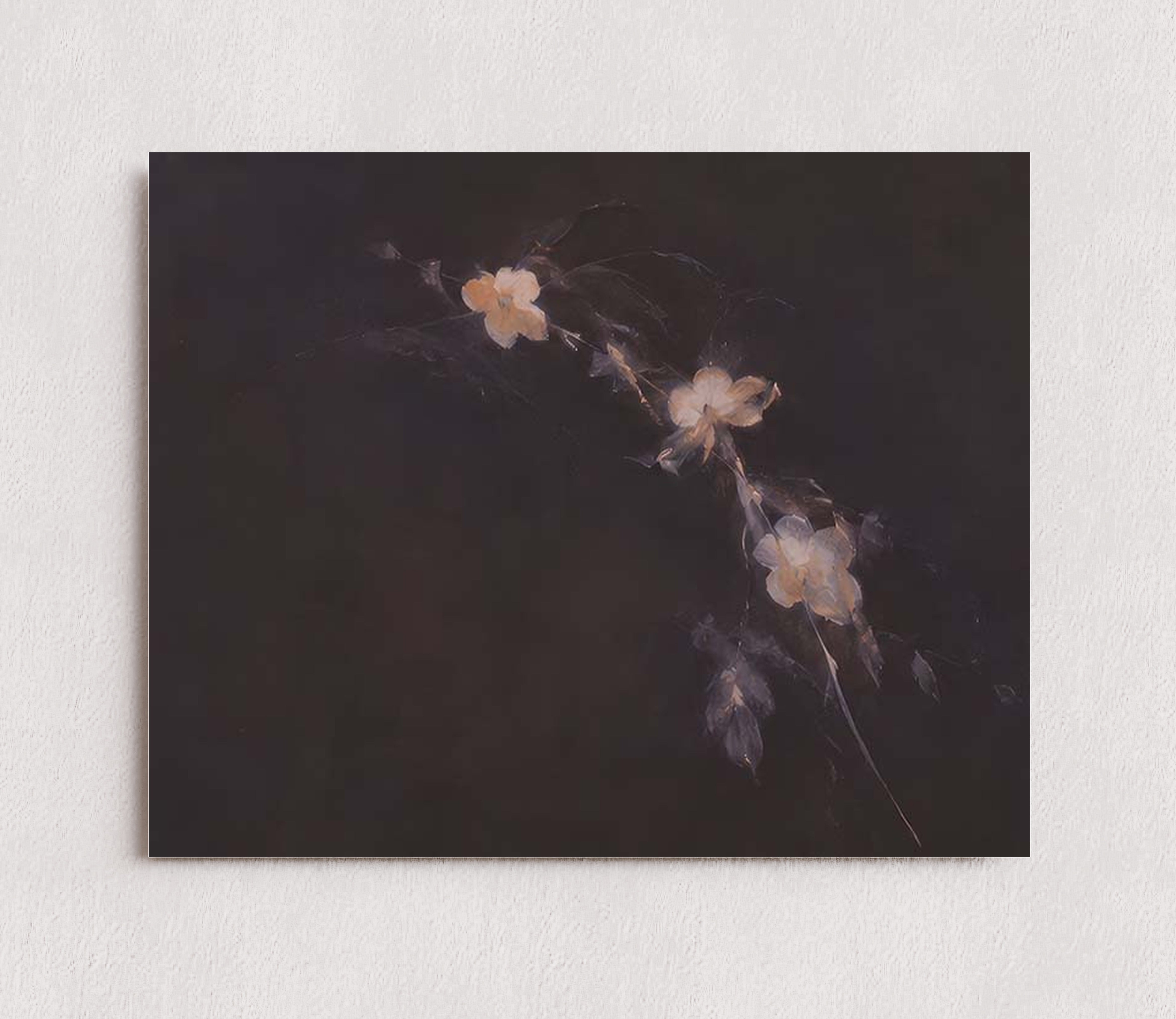 MPPR-0000-0000-0000-10X08-P01-0184-260704-IREORL-061201