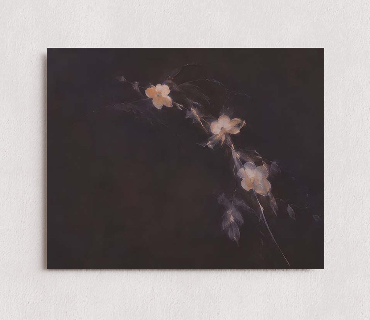 MPPR-0000-0000-0000-10X08-P01-0184-260704-IREORL-061201