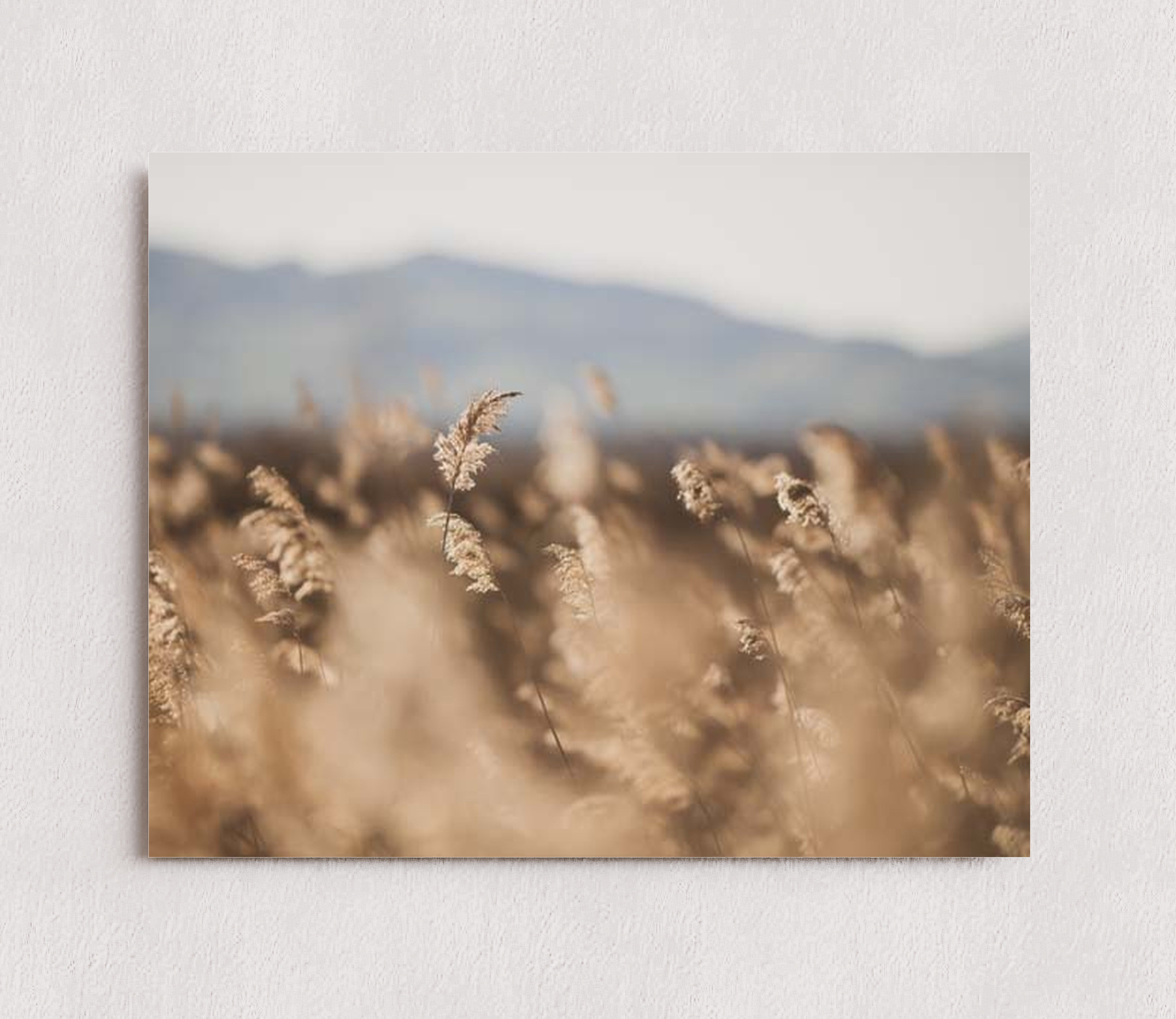 MPPR-0000-0000-0000-10X08-P01-0189-240806-1XXXXX-083401