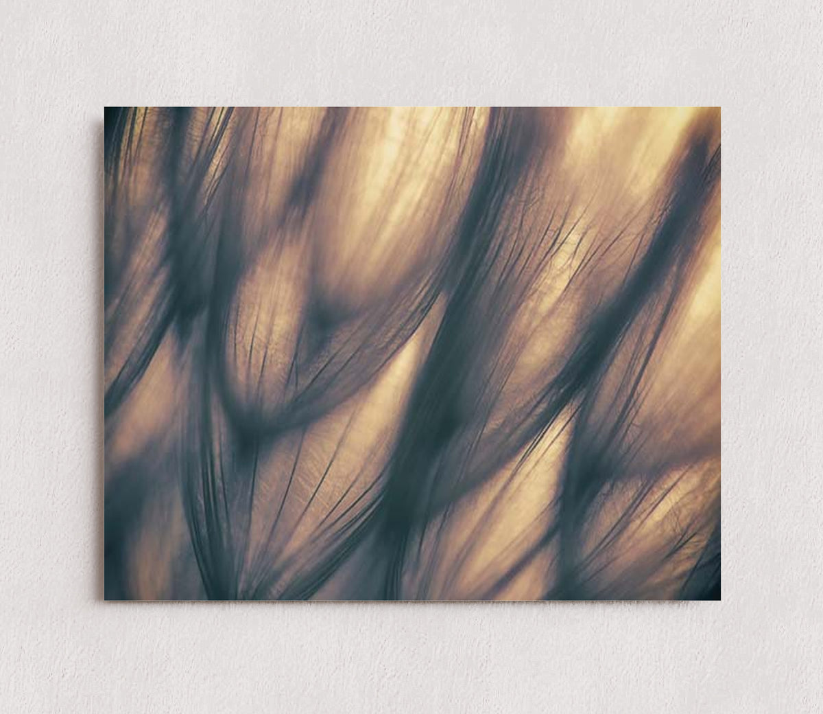 MPPR-0000-0000-0000-10X08-P01-9998-260904-1XXXX2-018701
