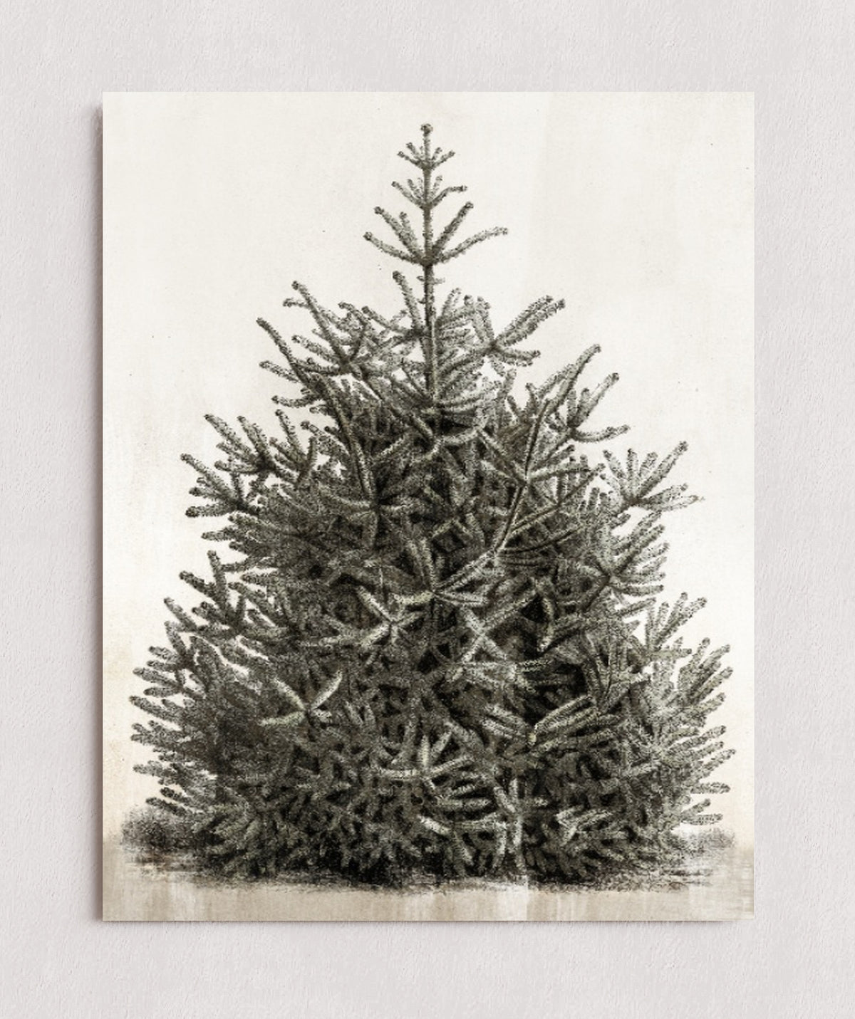 MPPR-0000-0000-0000-11X14-P00-0107-210126-PISTUX-017101