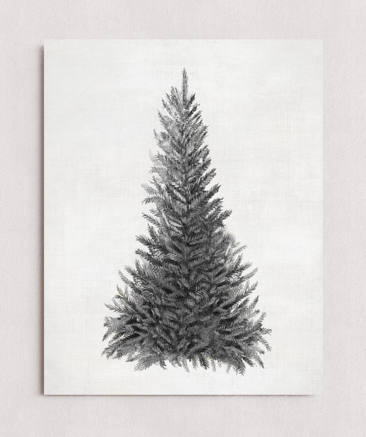 MPPR-0000-0000-0000-11X14-P00-0107-210126-PISTUX-018401