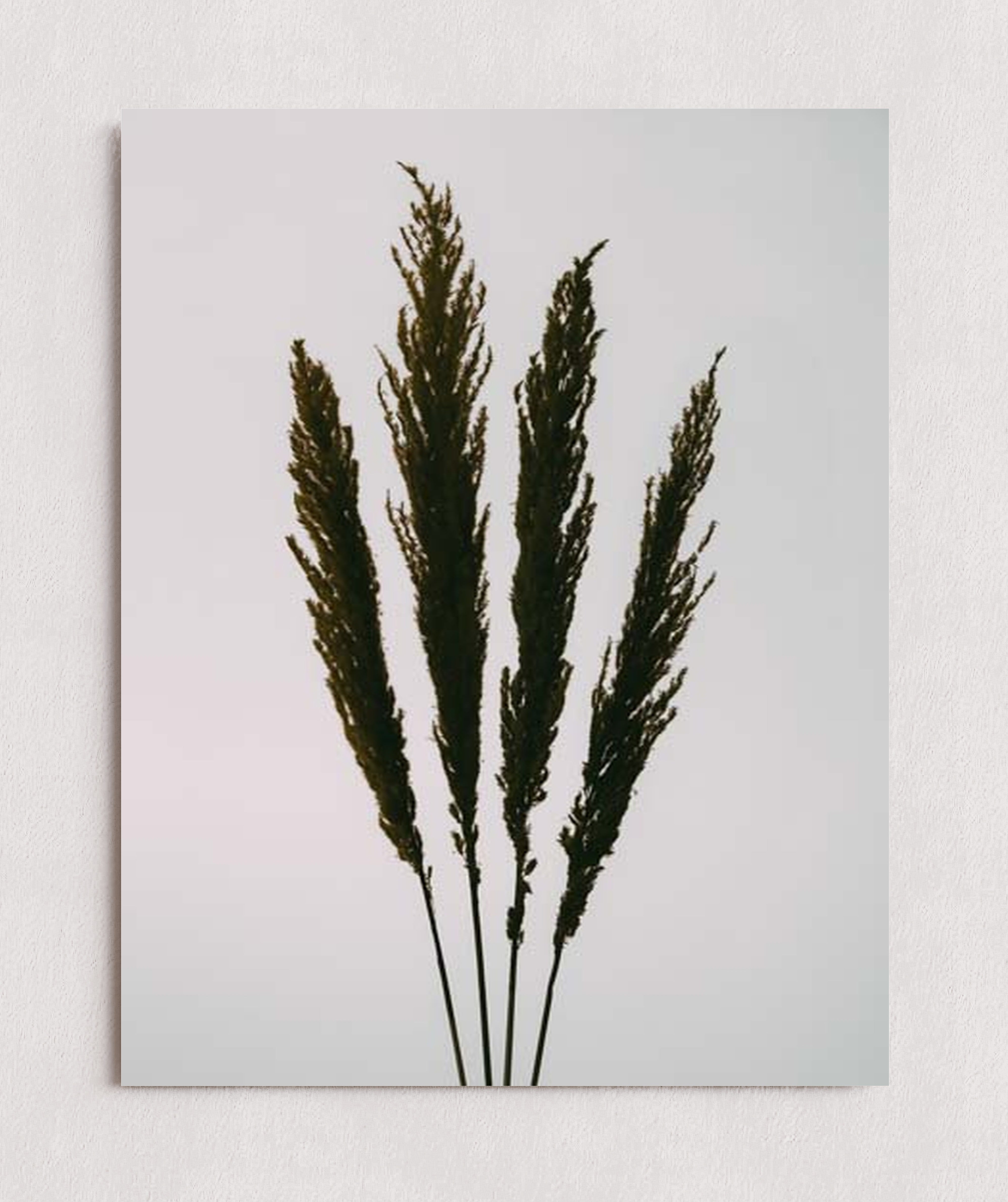 MPPR-0000-0000-0000-11X14-P01-0189-220413-1XXXXX-031401
