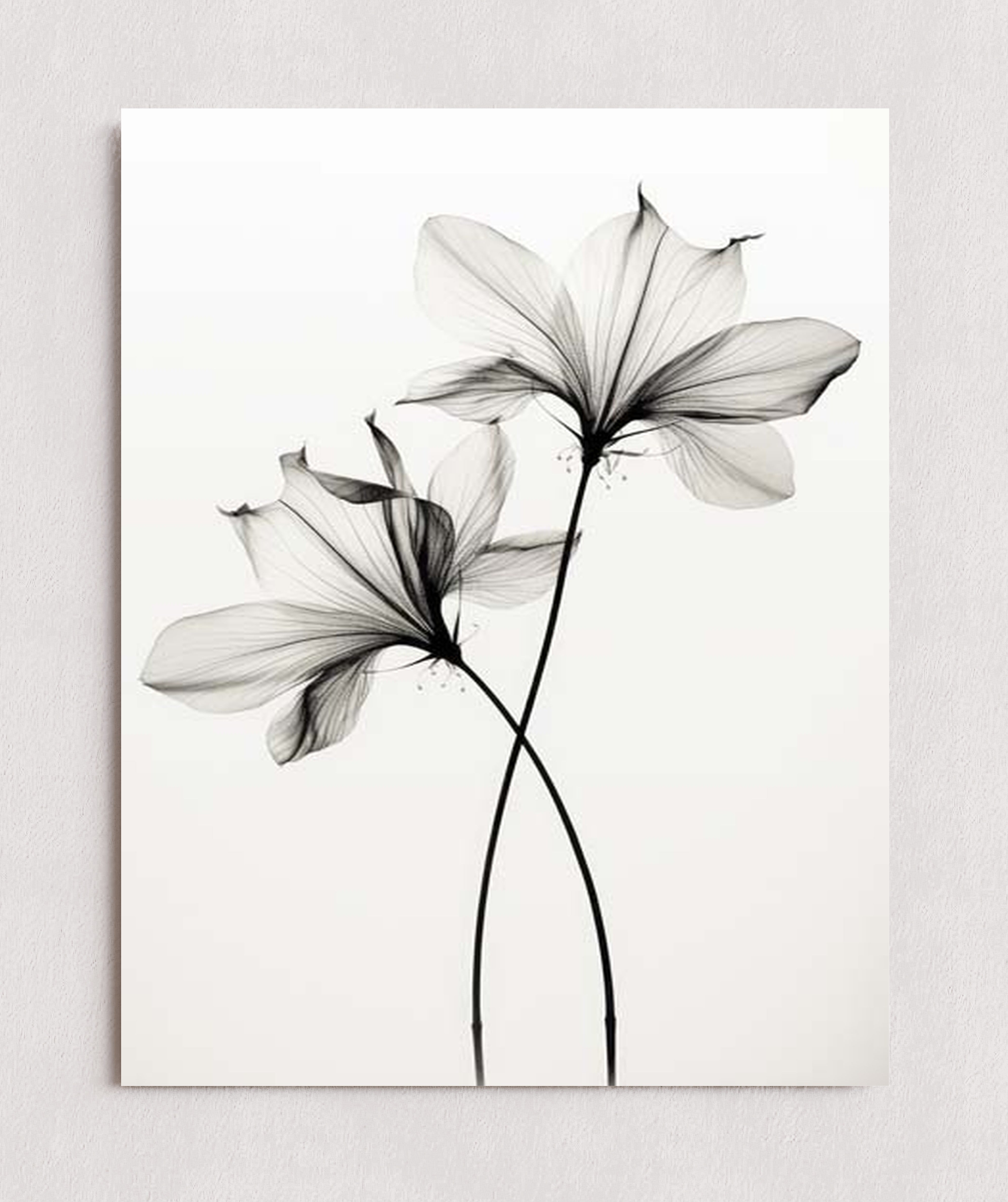 MPPR-0000-0000-0000-11X14-P01-0190-260330-1XXXXX-140201