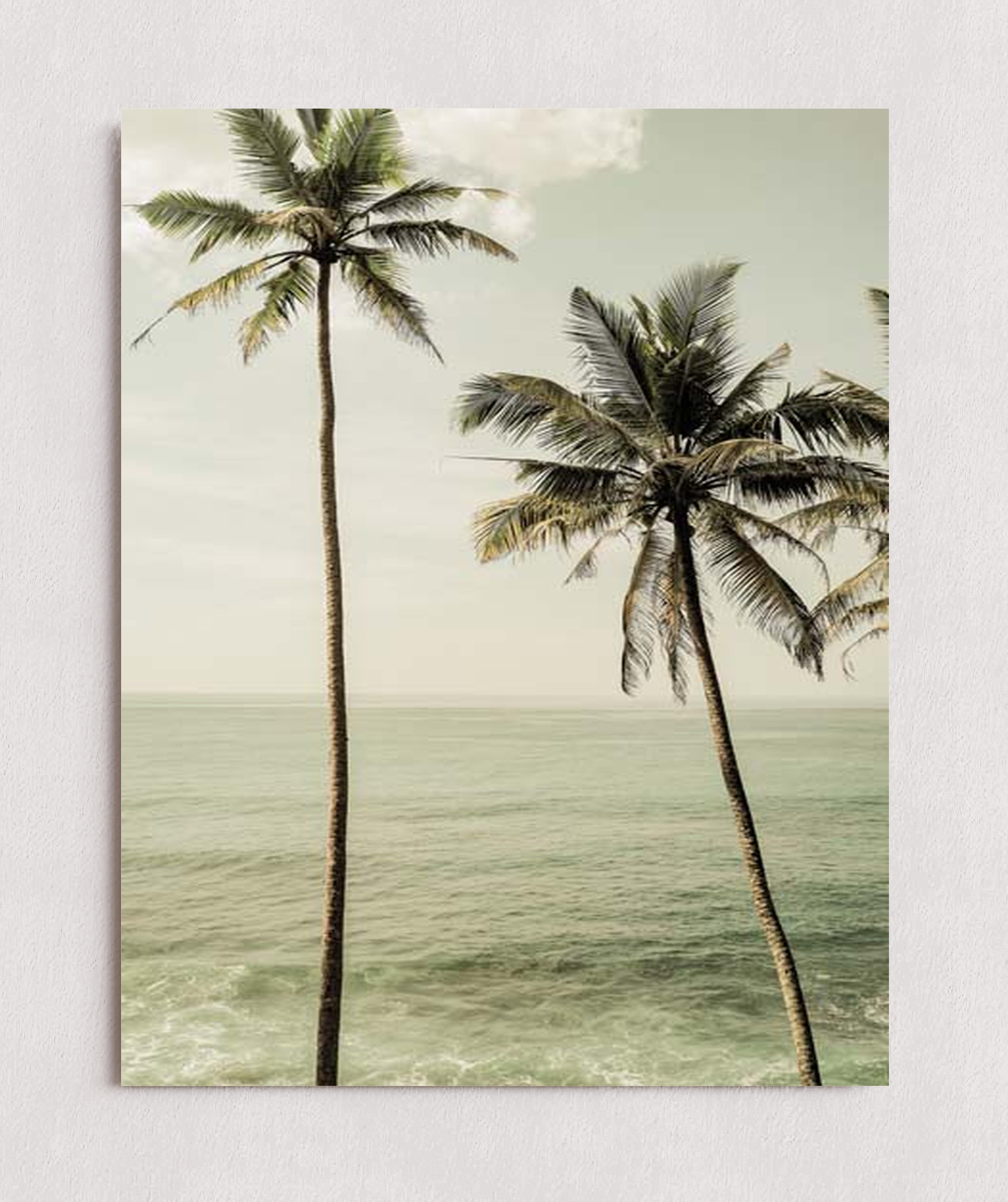 MPPR-0000-0000-0000-11X14-P01-0190-260601-1XXXXX-158601