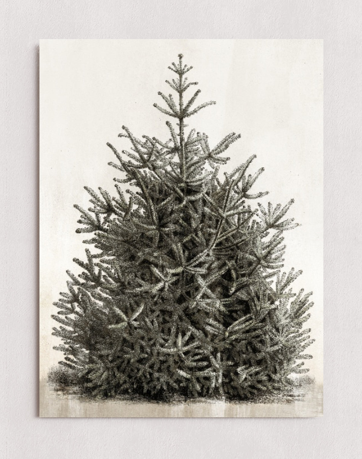MPPR-0000-0000-0000-12X16-P00-0107-210126-PISTUX-017101