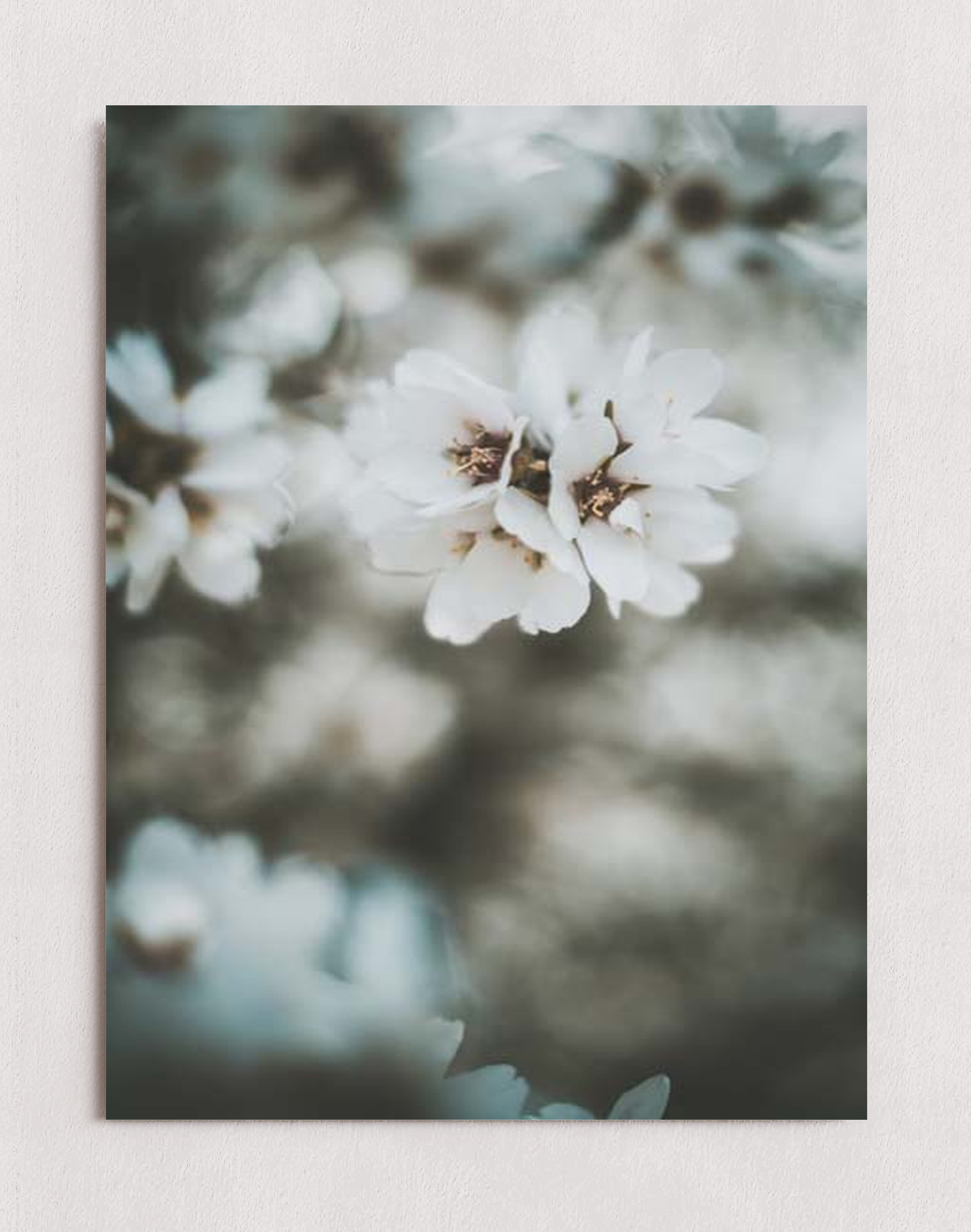 MPPR-0000-0000-0000-12X16-P01-0189-230406-1XXXXX-054601