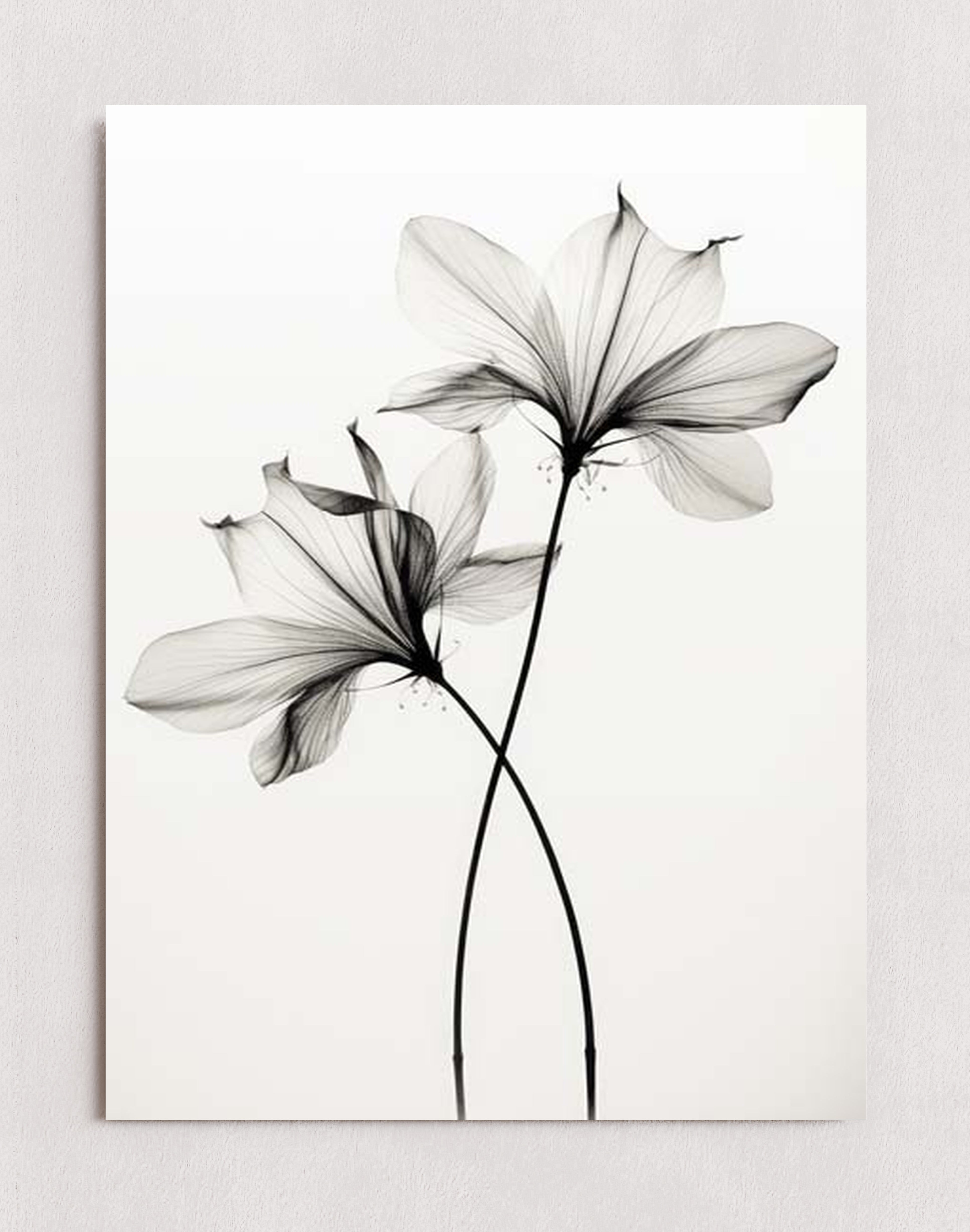 MPPR-0000-0000-0000-12X16-P01-0190-260330-1XXXXX-140201