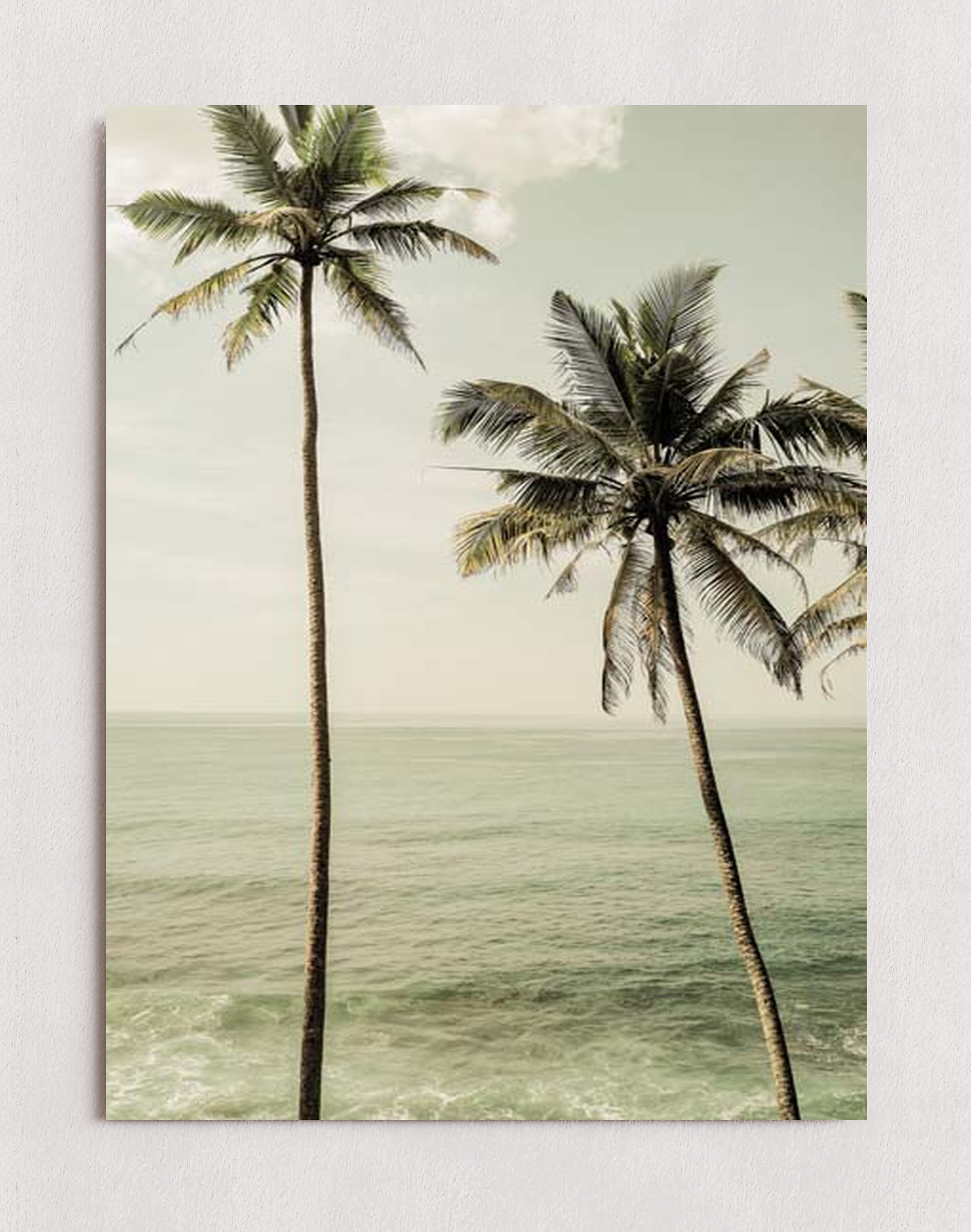 MPPR-0000-0000-0000-12X16-P01-0190-260601-1XXXXX-158601