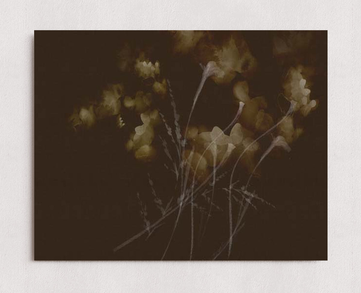 MPPR-0000-0000-0000-14X11-P00-0015-260921-PITRND-026001