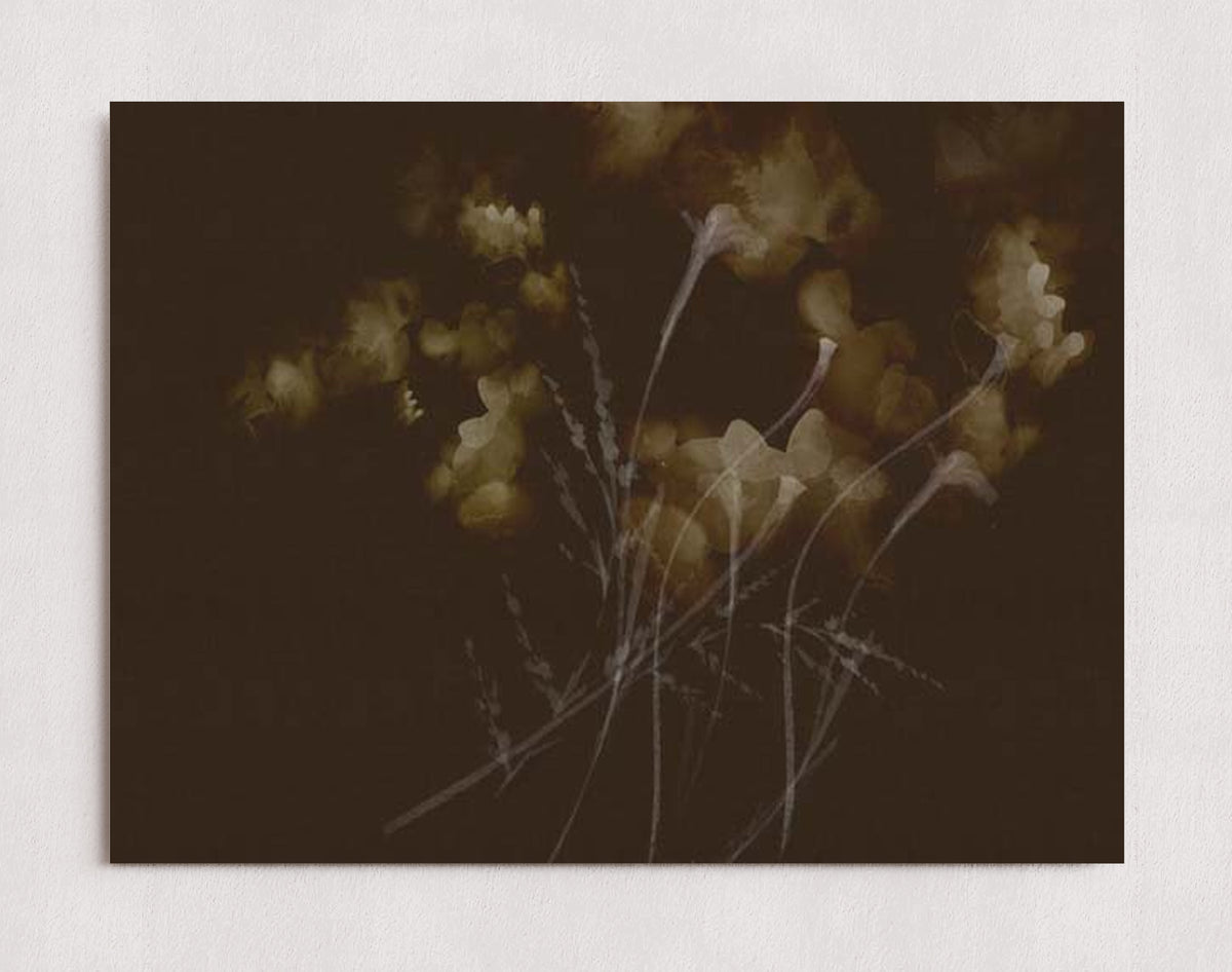 MPPR-0000-0000-0000-16X12-P00-0015-260921-PITRND-026001