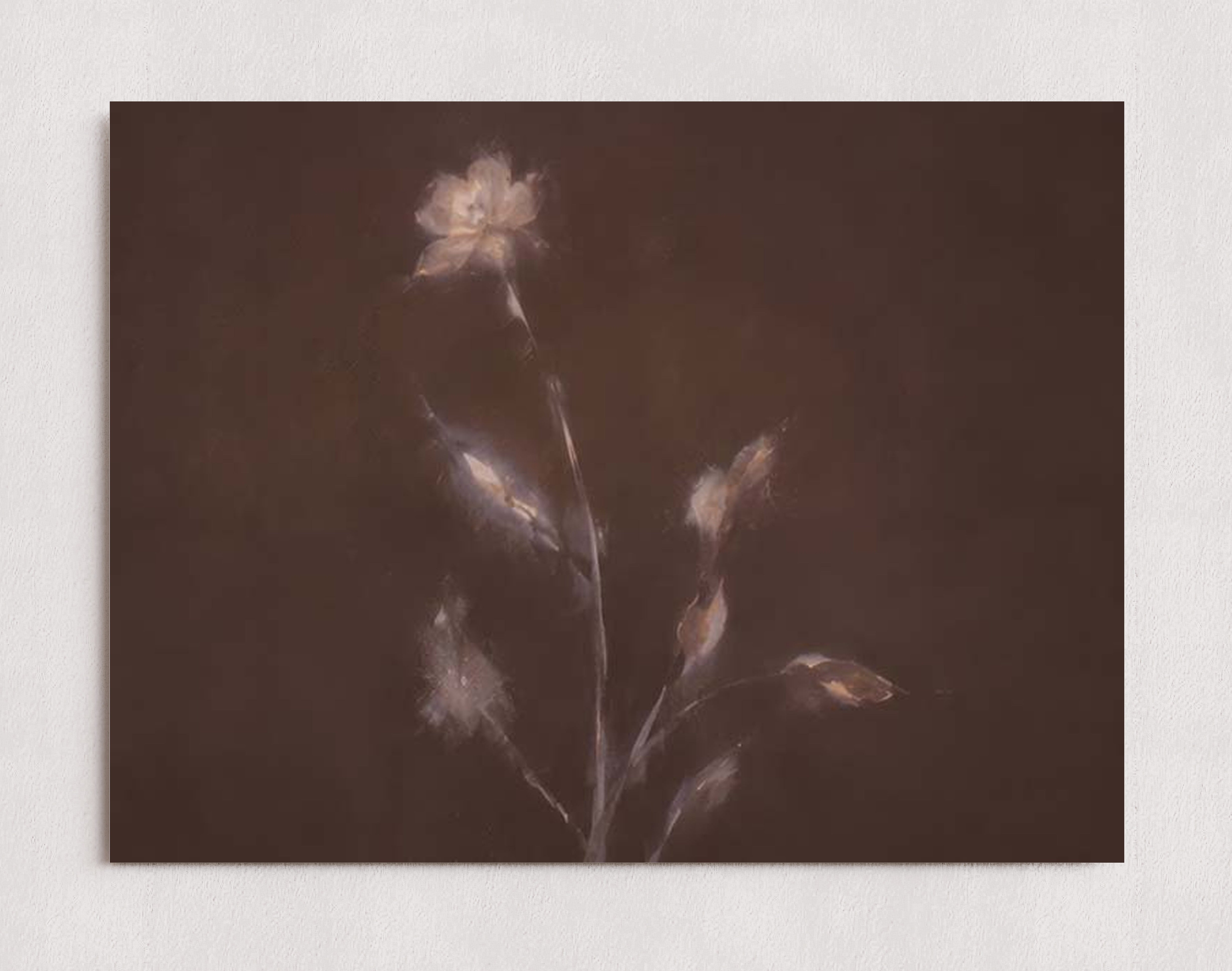 MPPR-0000-0000-0000-16X12-P01-0184-260704-IREORL-061101