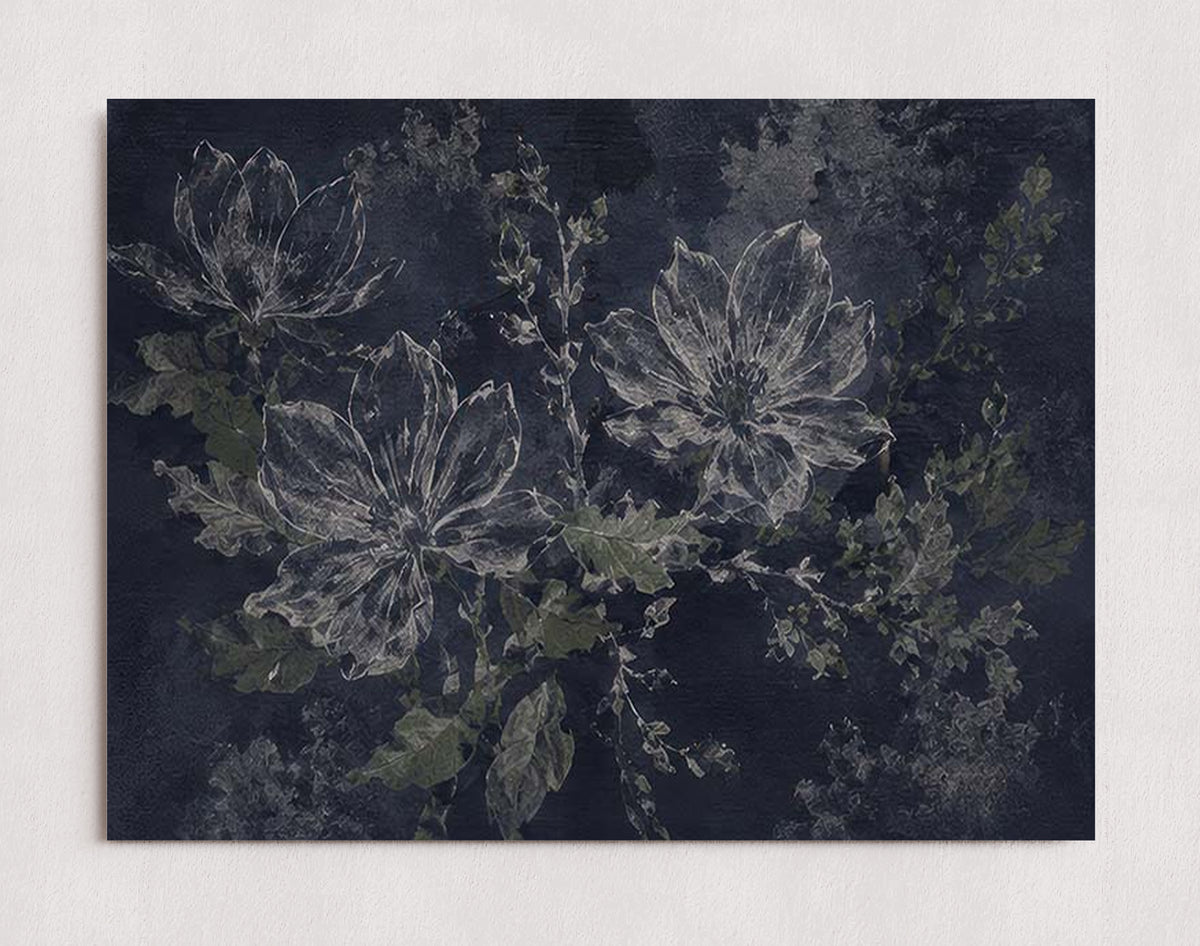 MPPR-0000-0000-0000-16X12-P01-0184-260704-IREORL-061501