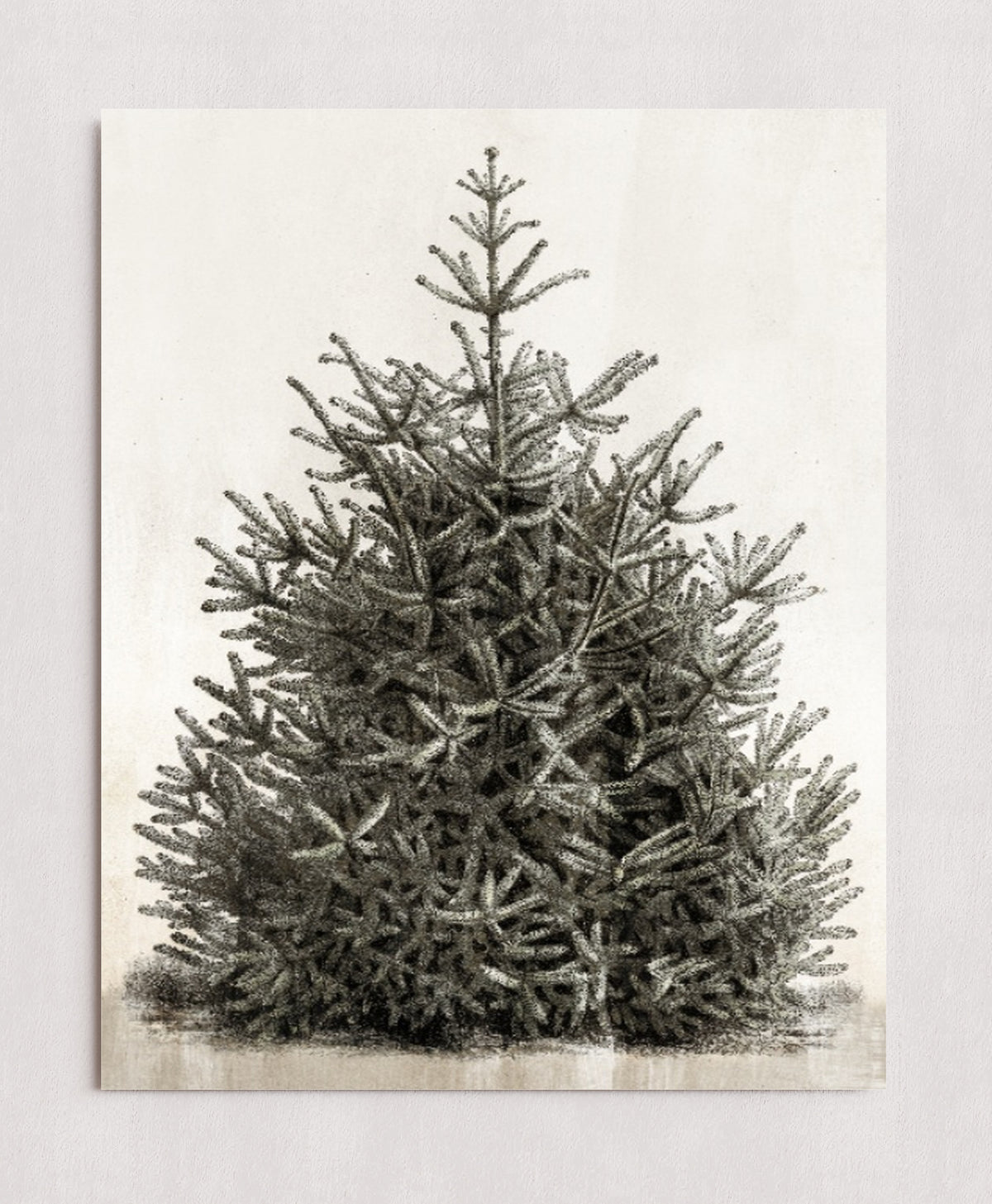 MPPR-0000-0000-0000-16X20-P00-0107-210126-PISTUX-017101