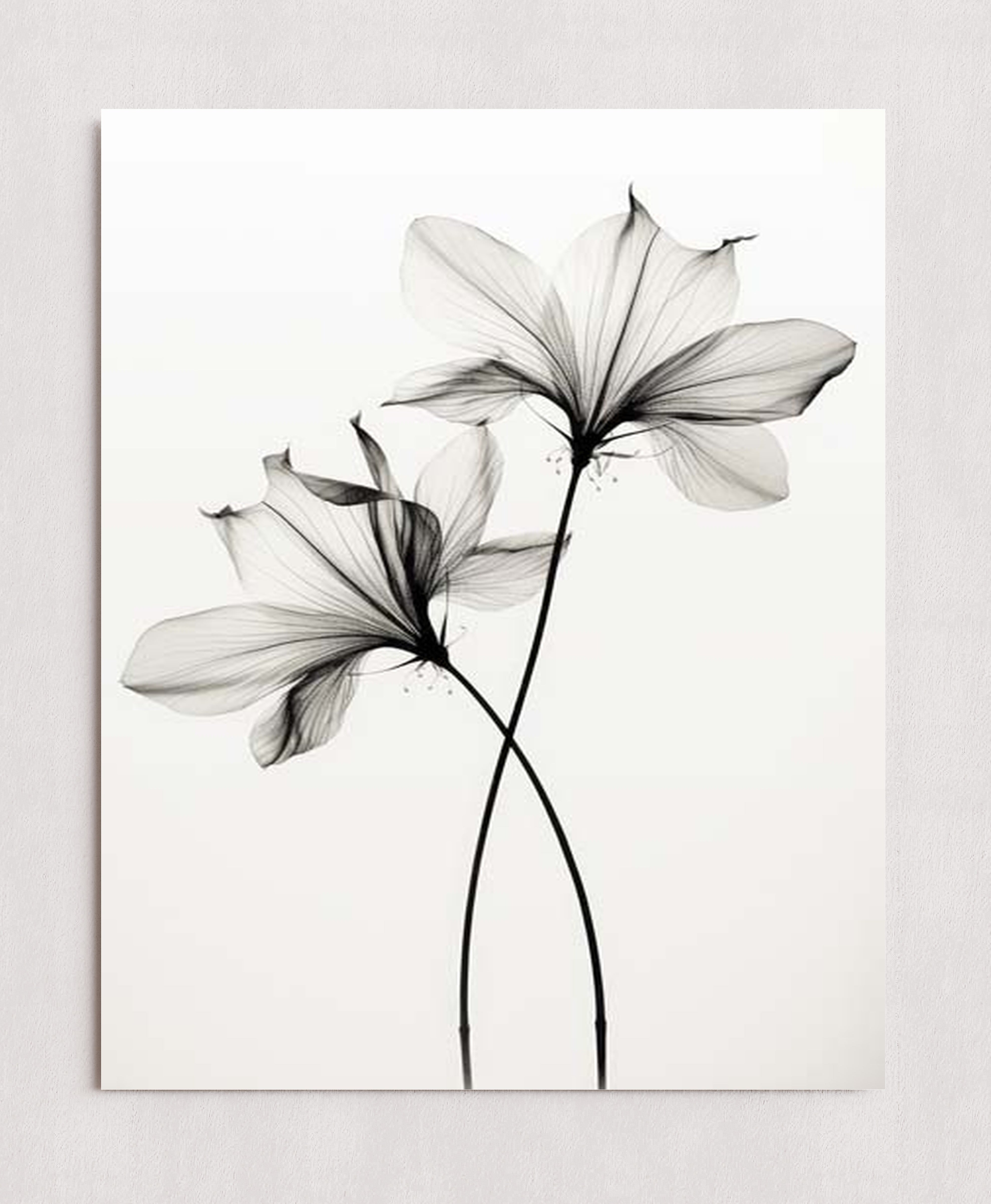 MPPR-0000-0000-0000-16X20-P01-0190-260330-1XXXXX-140201