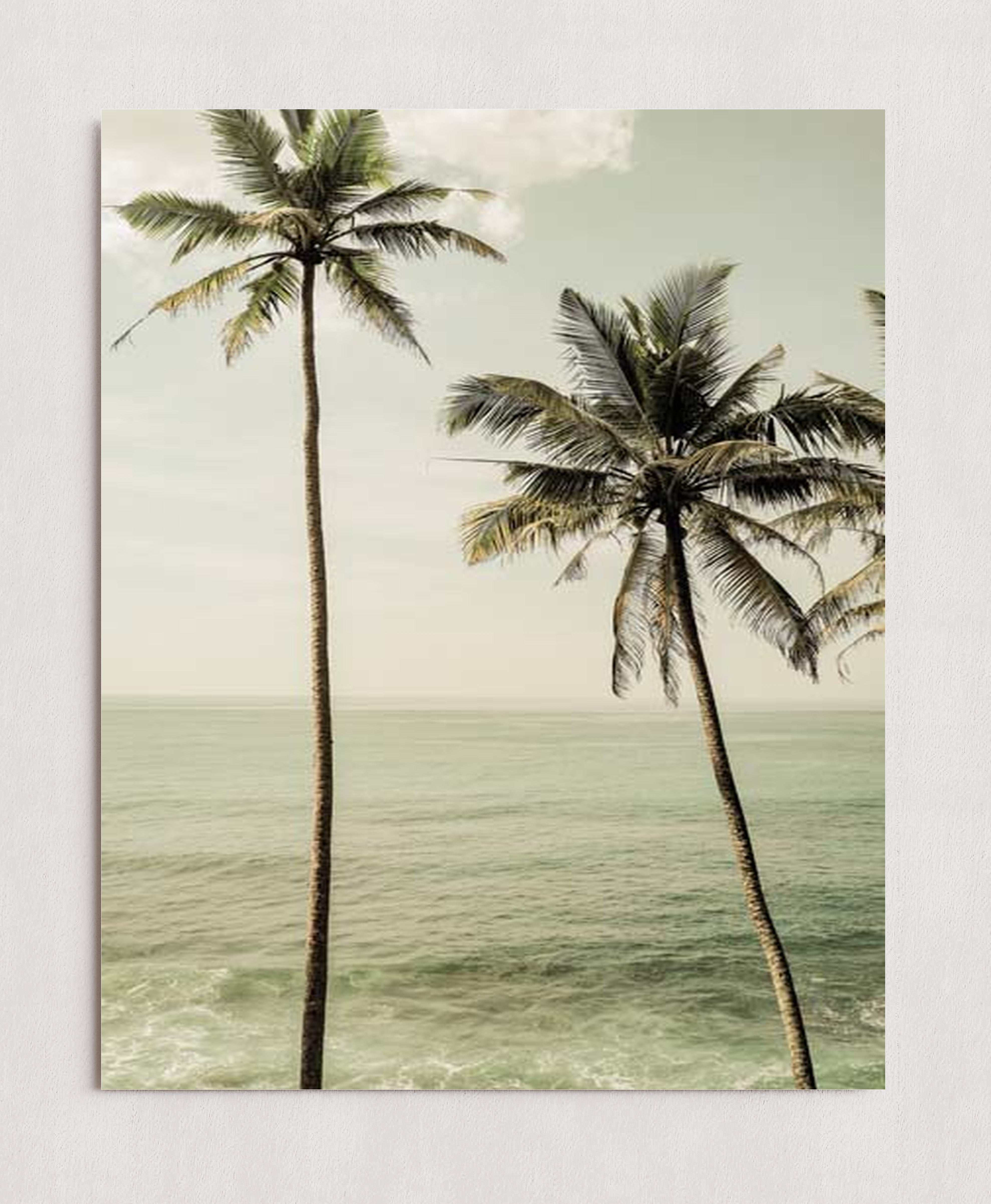 MPPR-0000-0000-0000-16X20-P01-0190-260601-1XXXXX-158601