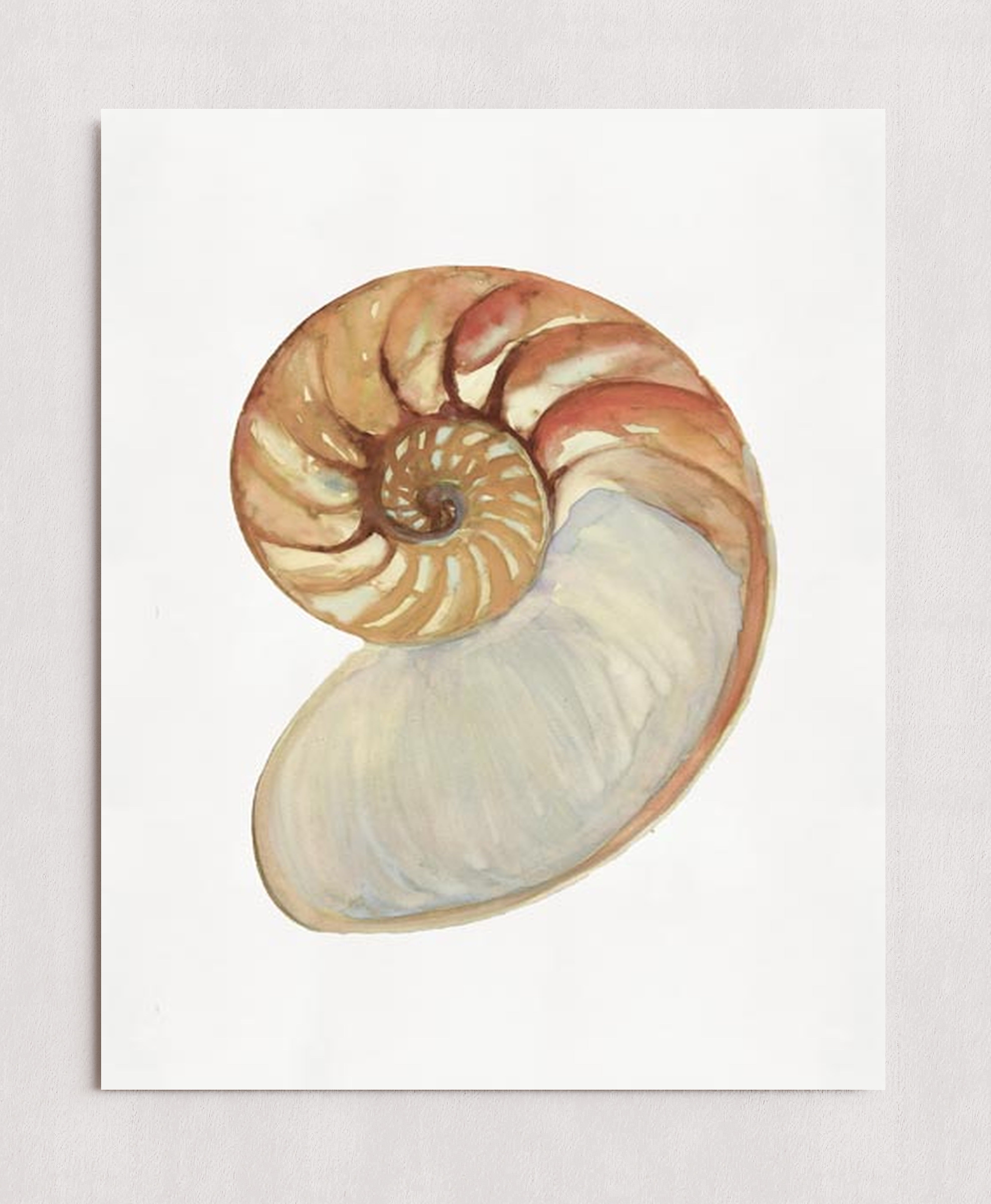 MPPR-0000-0000-0000-16X20-P01-0254-190801-STDEST-007401