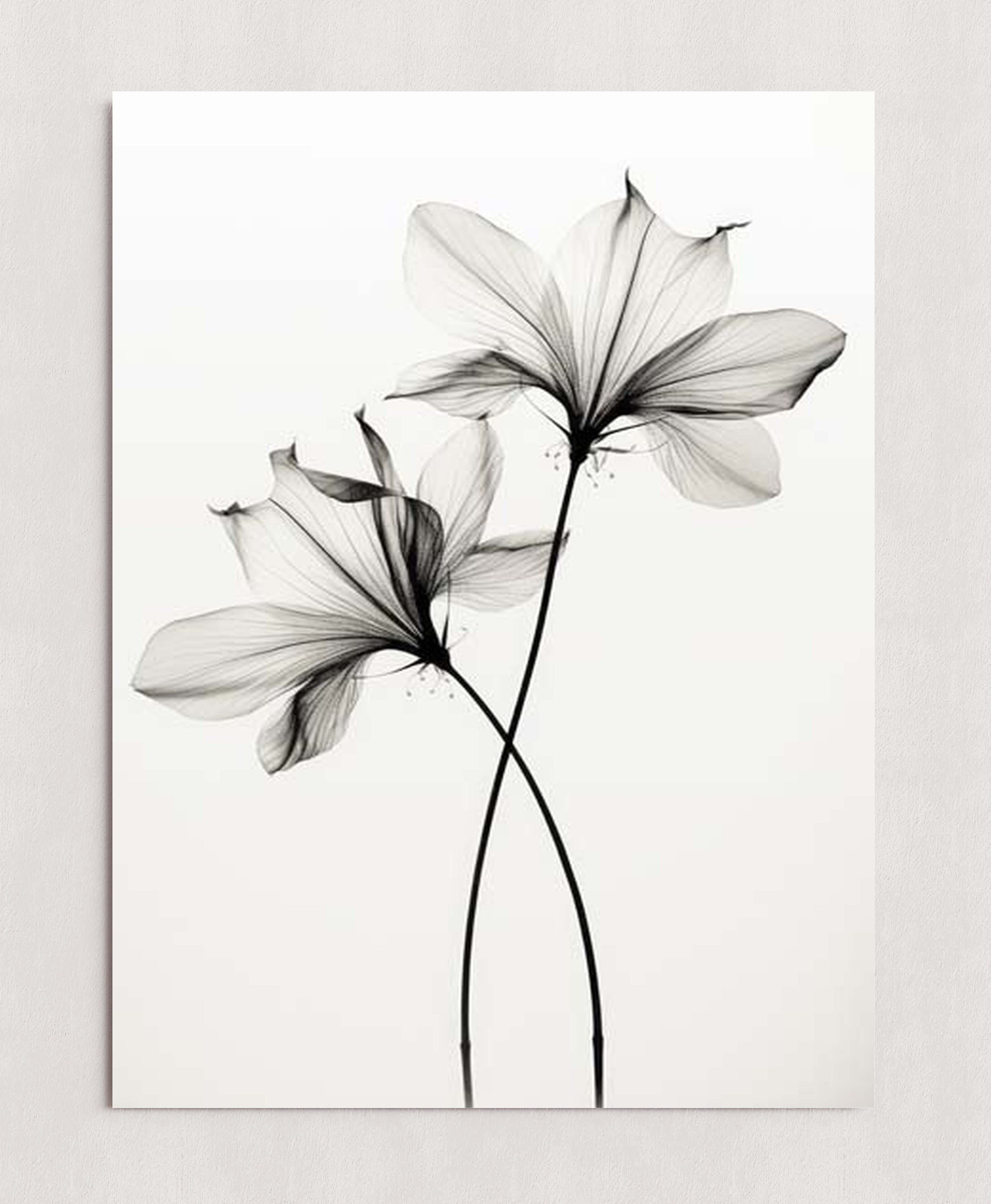 MPPR-0000-0000-0000-18X24-P01-0190-260330-1XXXXX-140201