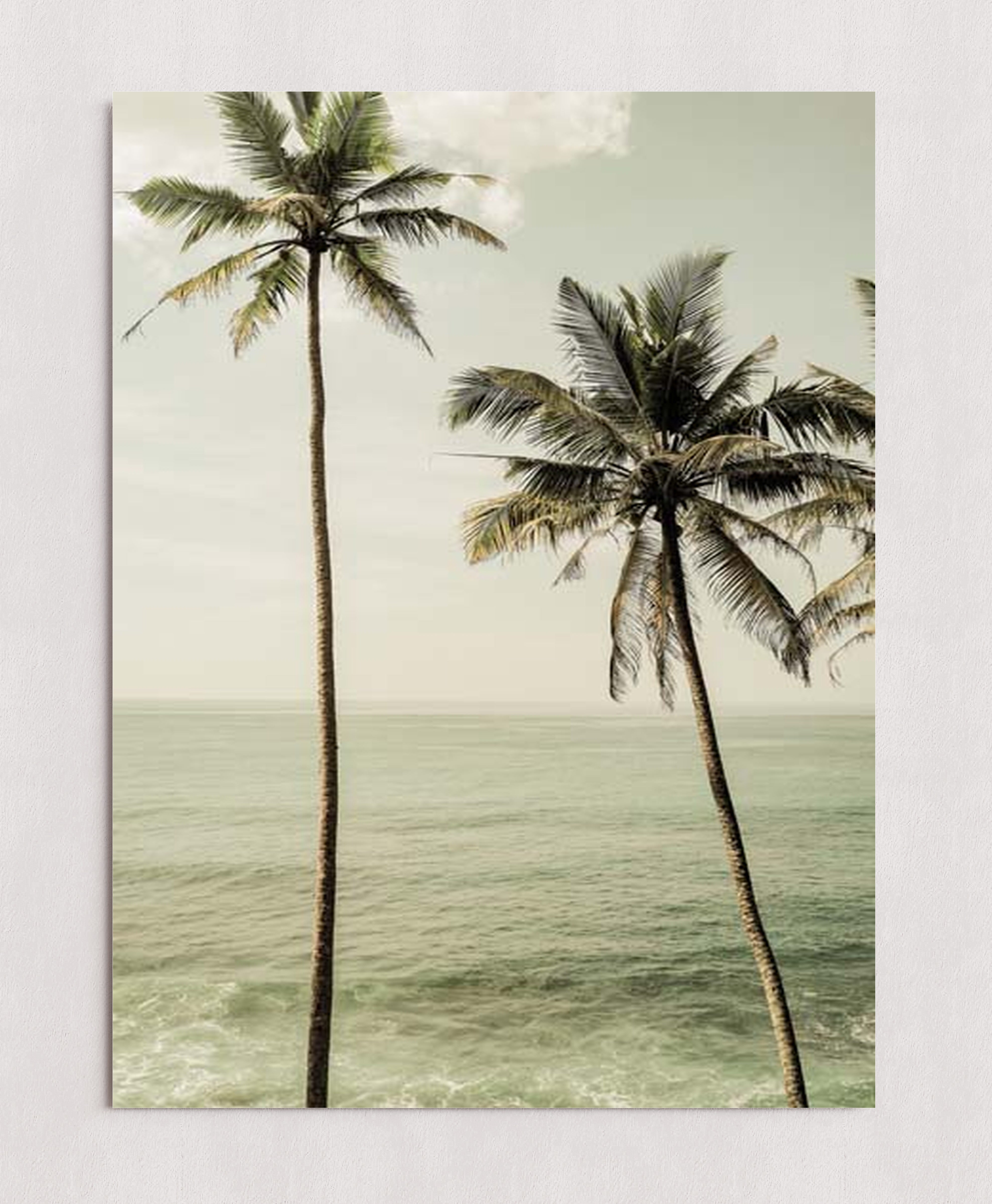 MPPR-0000-0000-0000-18X24-P01-0190-260601-1XXXXX-158601