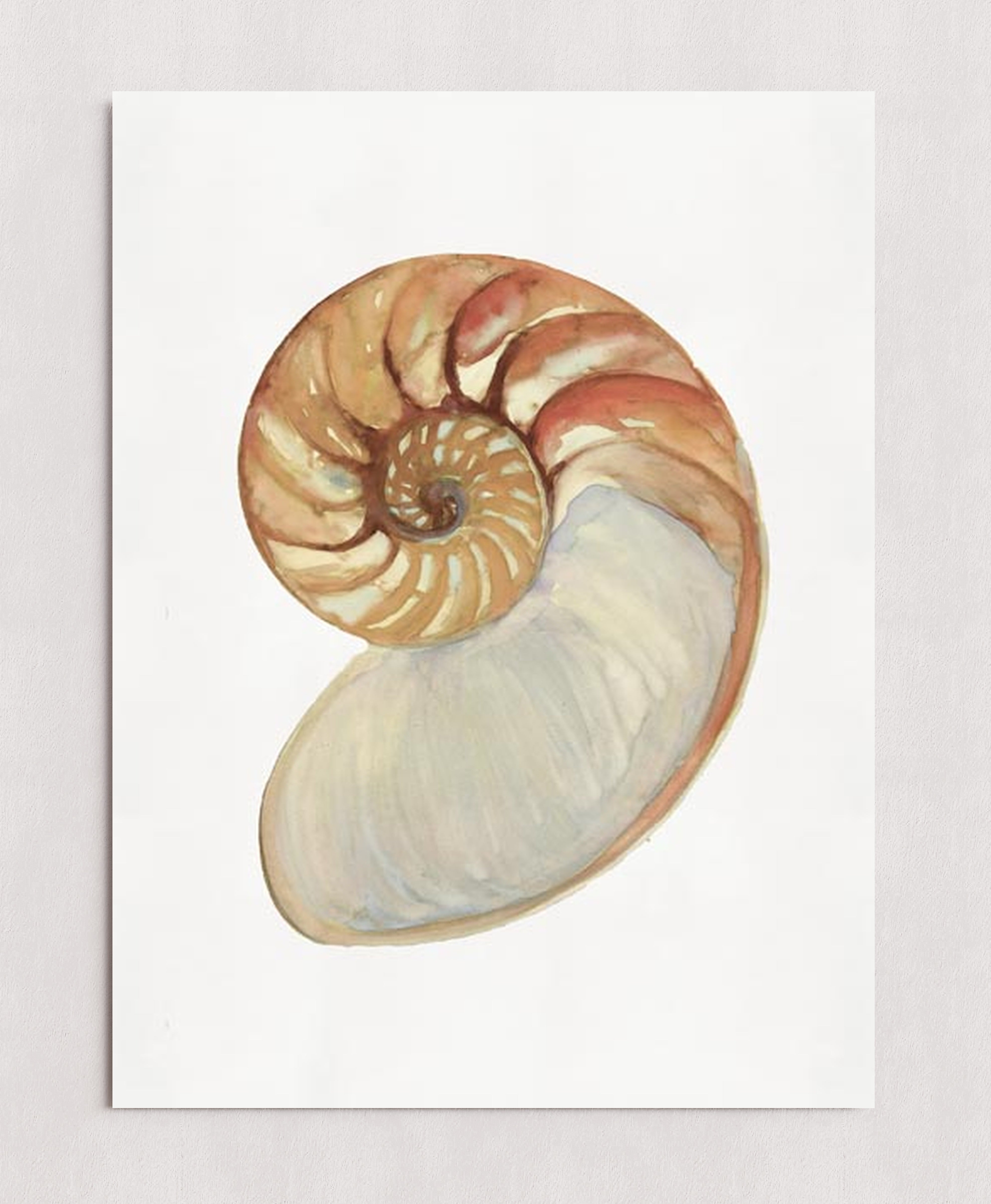 MPPR-0000-0000-0000-18X24-P01-0254-190801-STDEST-007401