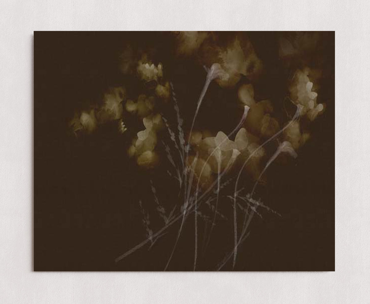 MPPR-0000-0000-0000-20X16-P00-0015-260921-PITRND-026001