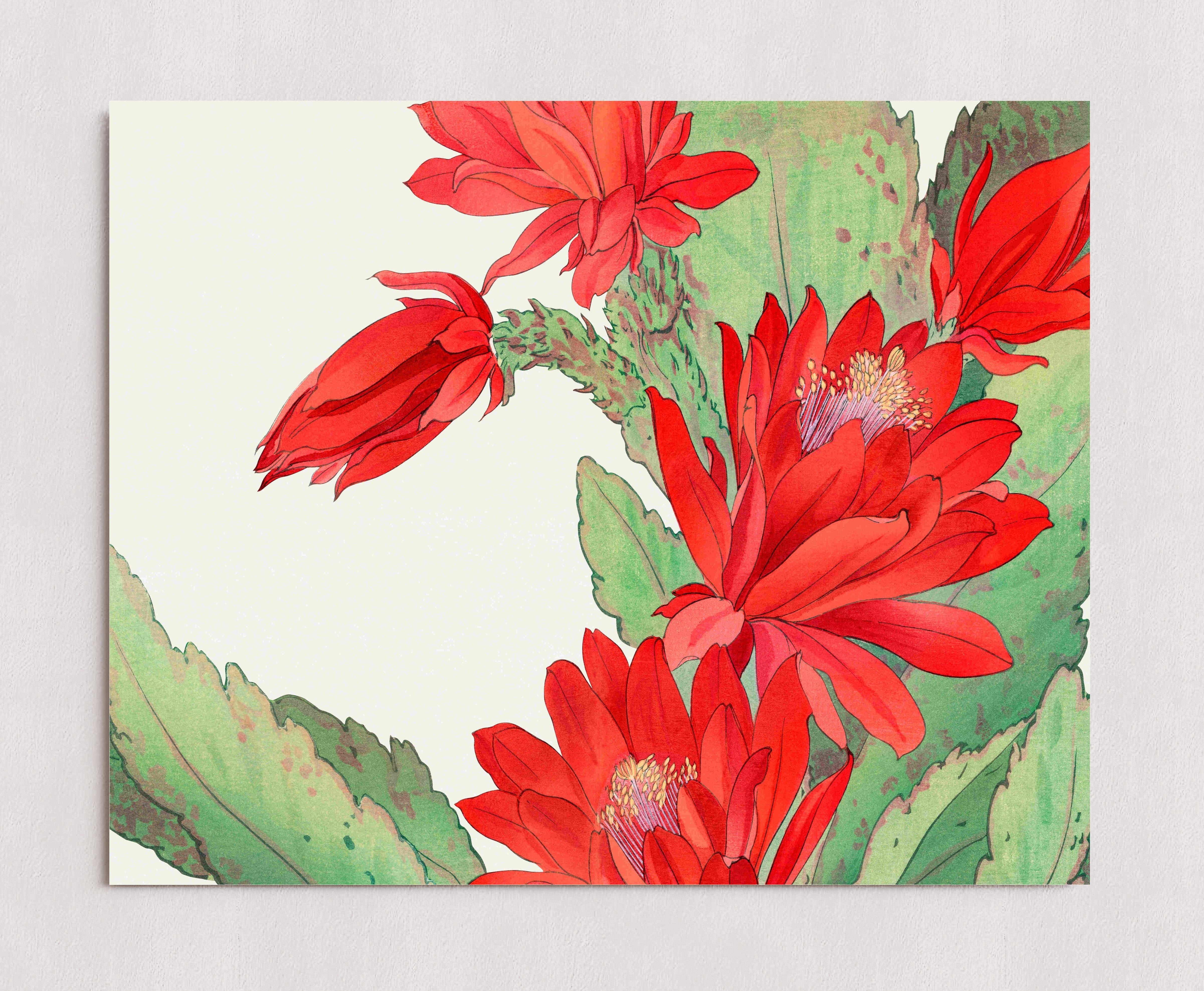 MPPR-0000-0000-0000-20X16-P98-0006-251030A-ARTICN-017501