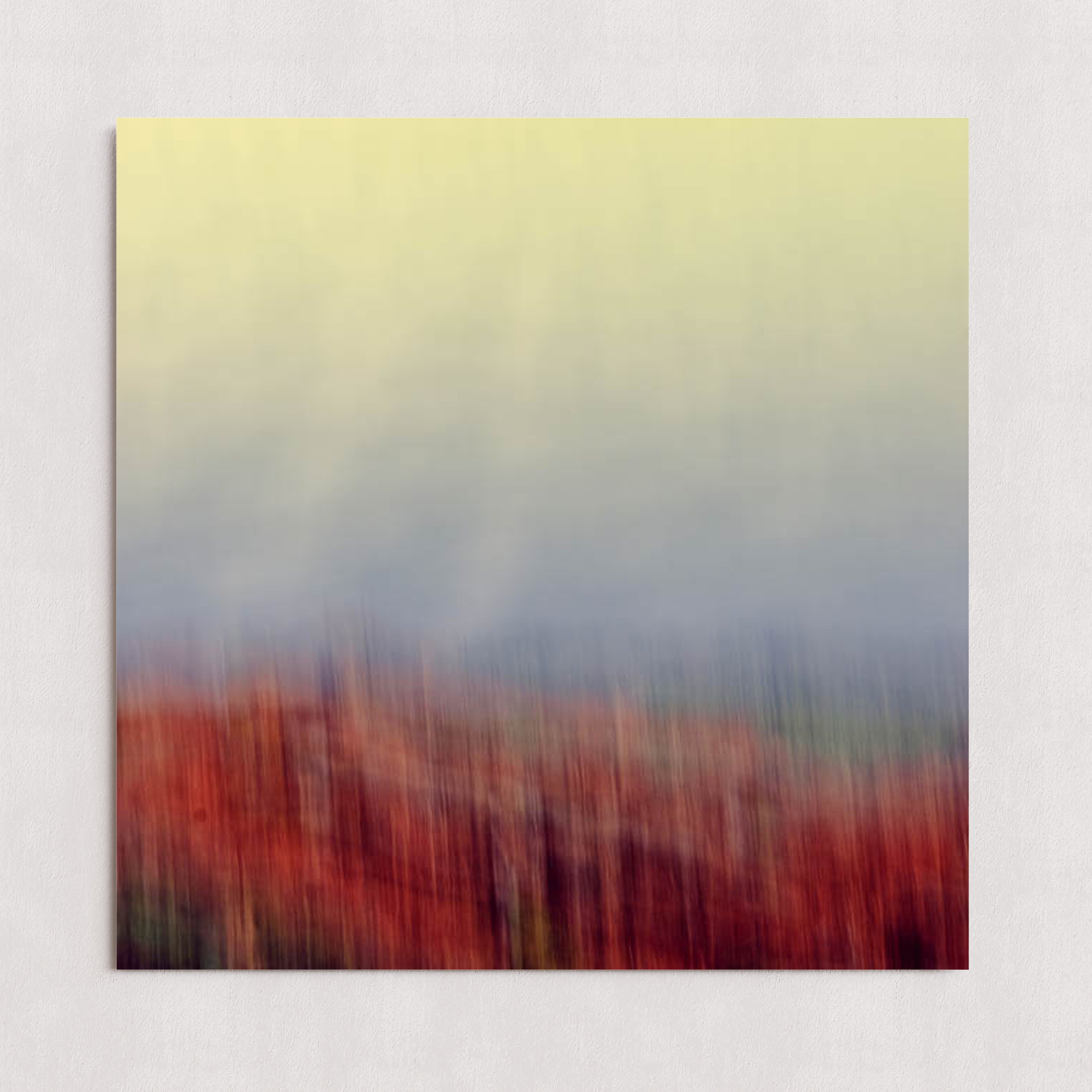 MPPR-0000-0000-0000-20X20-P01-0181-240227-OLIJOY-010201