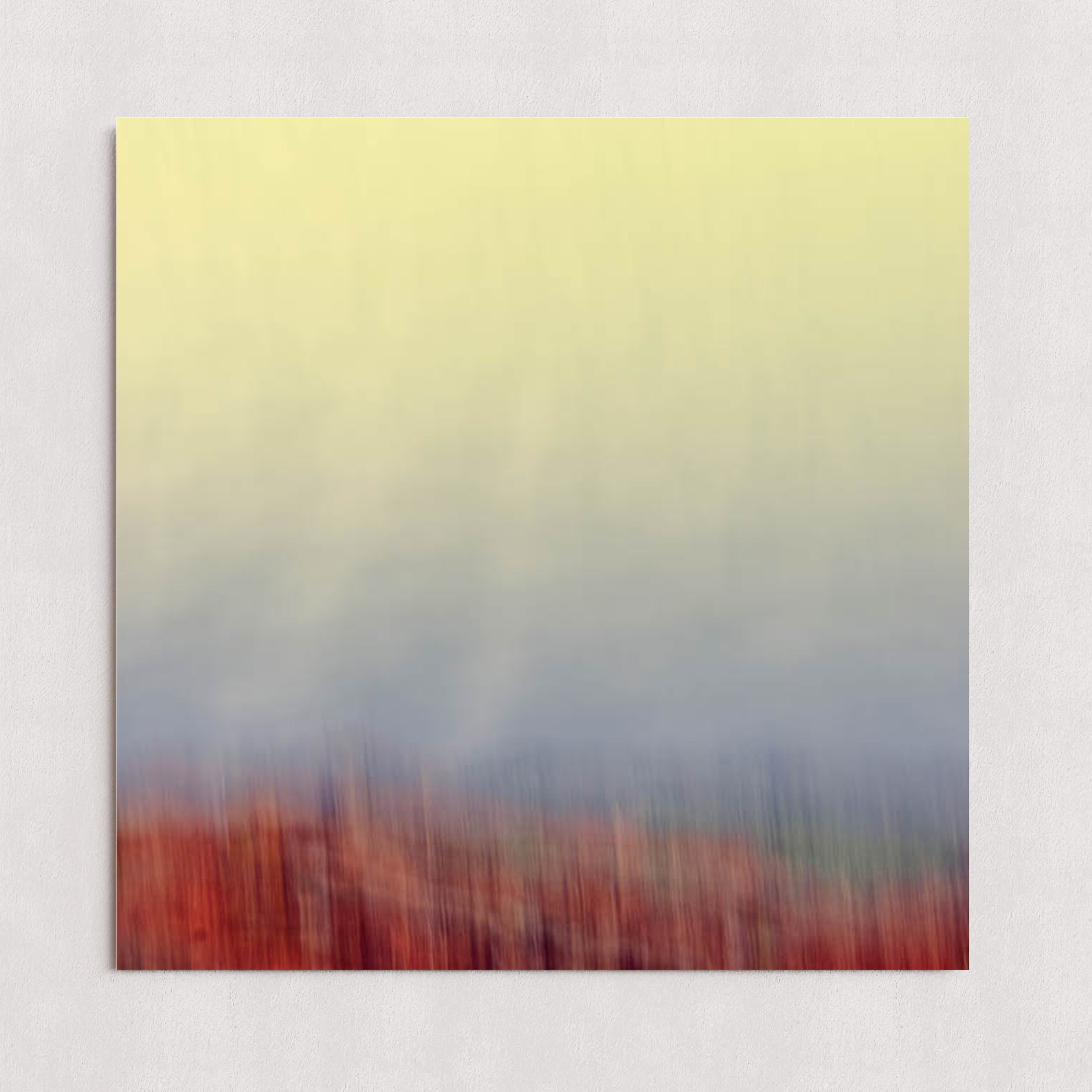 MPPR-0000-0000-0000-20X20-P01-0181-240227-OLIJOY-010301