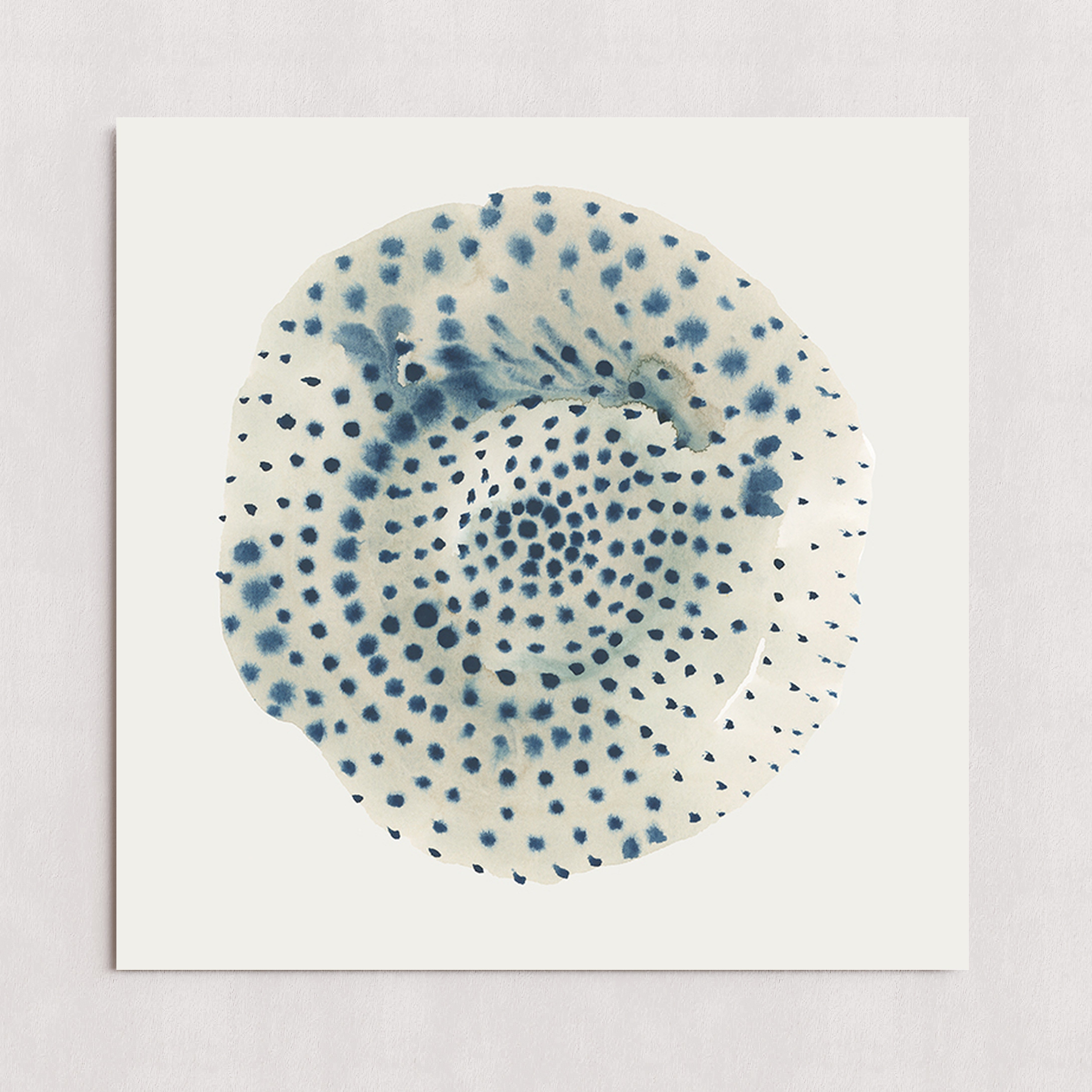 MPPR-0000-0000-0000-20X20-P01-0310-250520-CHRZAL-010001