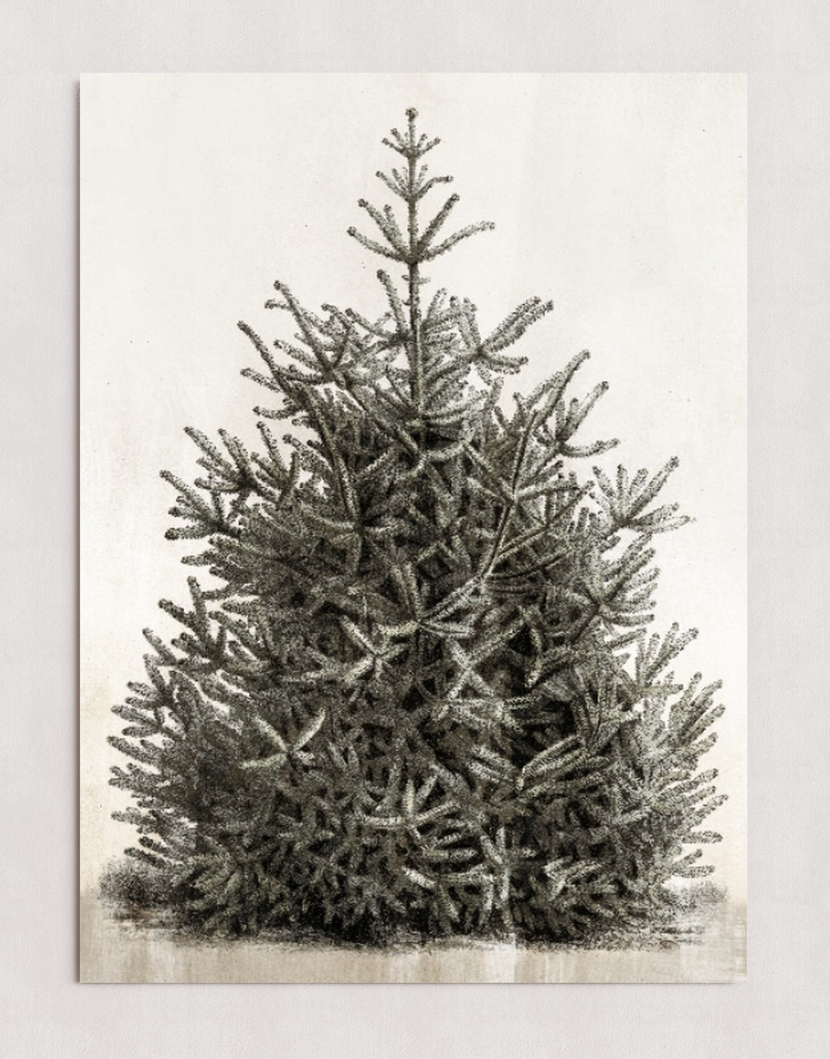 MPPR-0000-0000-0000-20X30-P00-0107-210126-PISTUX-017101