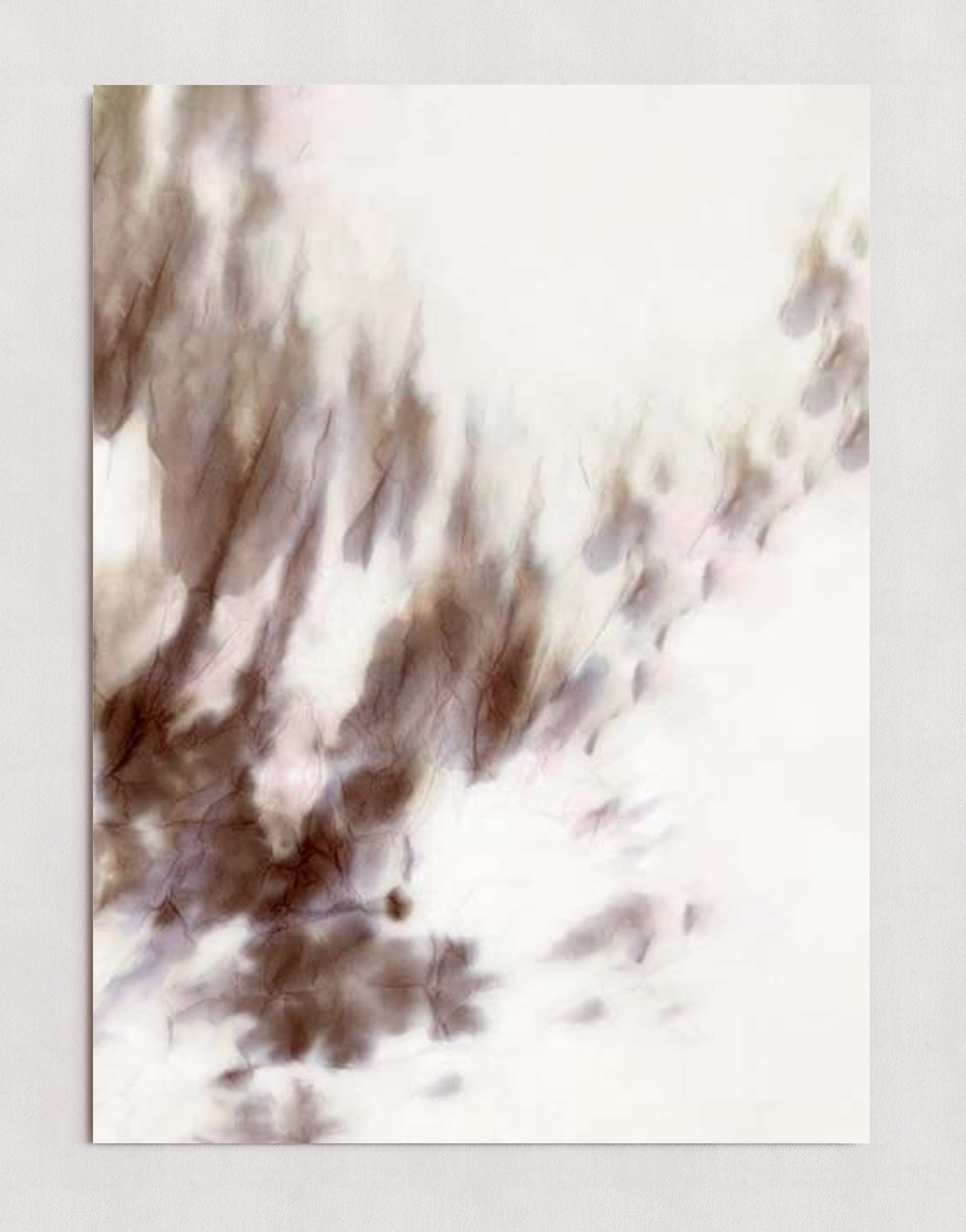 MPPR-0000-0000-0000-20X30-P00-0194-241204-PISTPB-072501