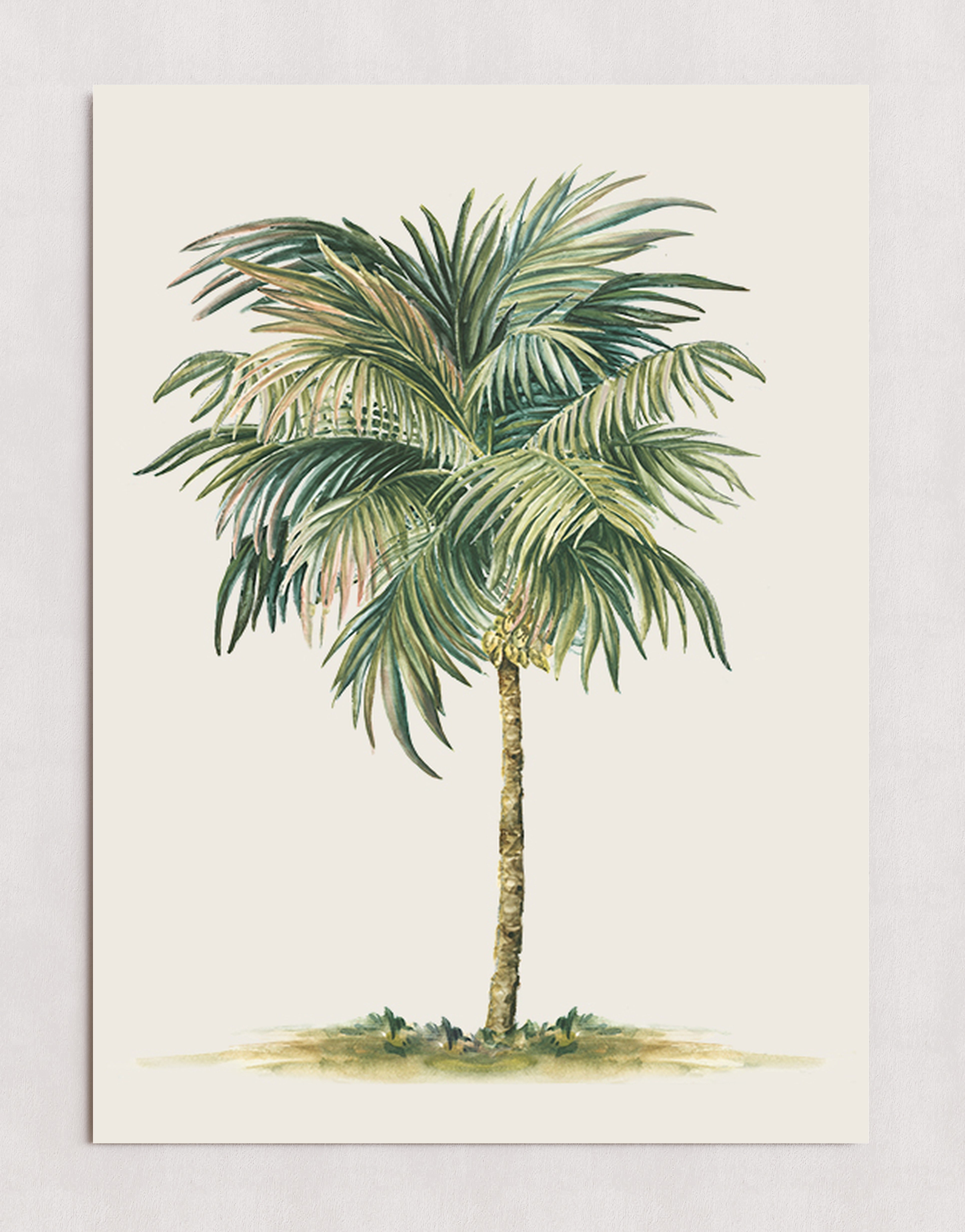 MPPR-0000-0000-0000-20X30-P00-0211-200807-PISTPW-041502