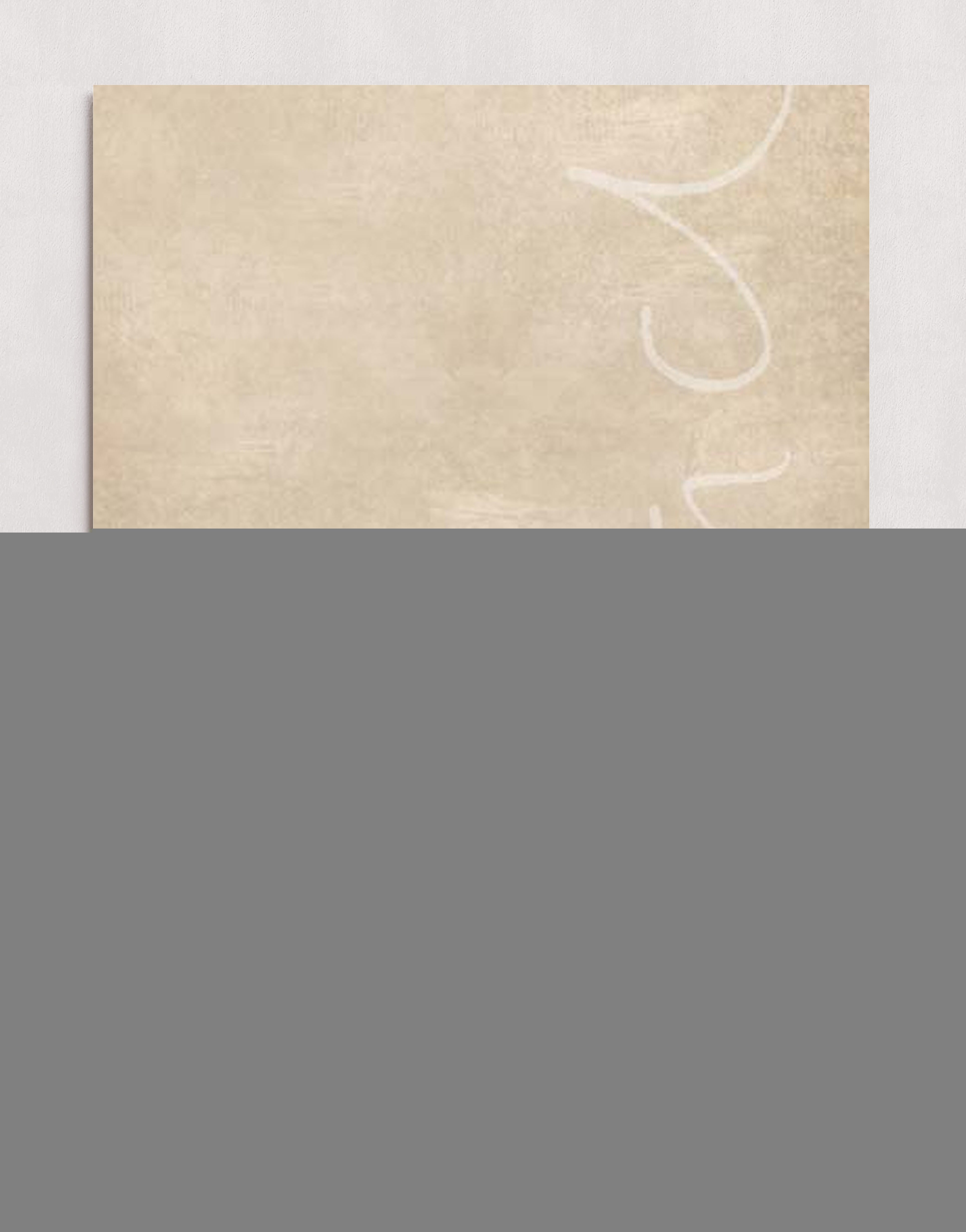 MPPR-0000-0000-0000-20X30-P01-0115-241204-AOIHOG-020201