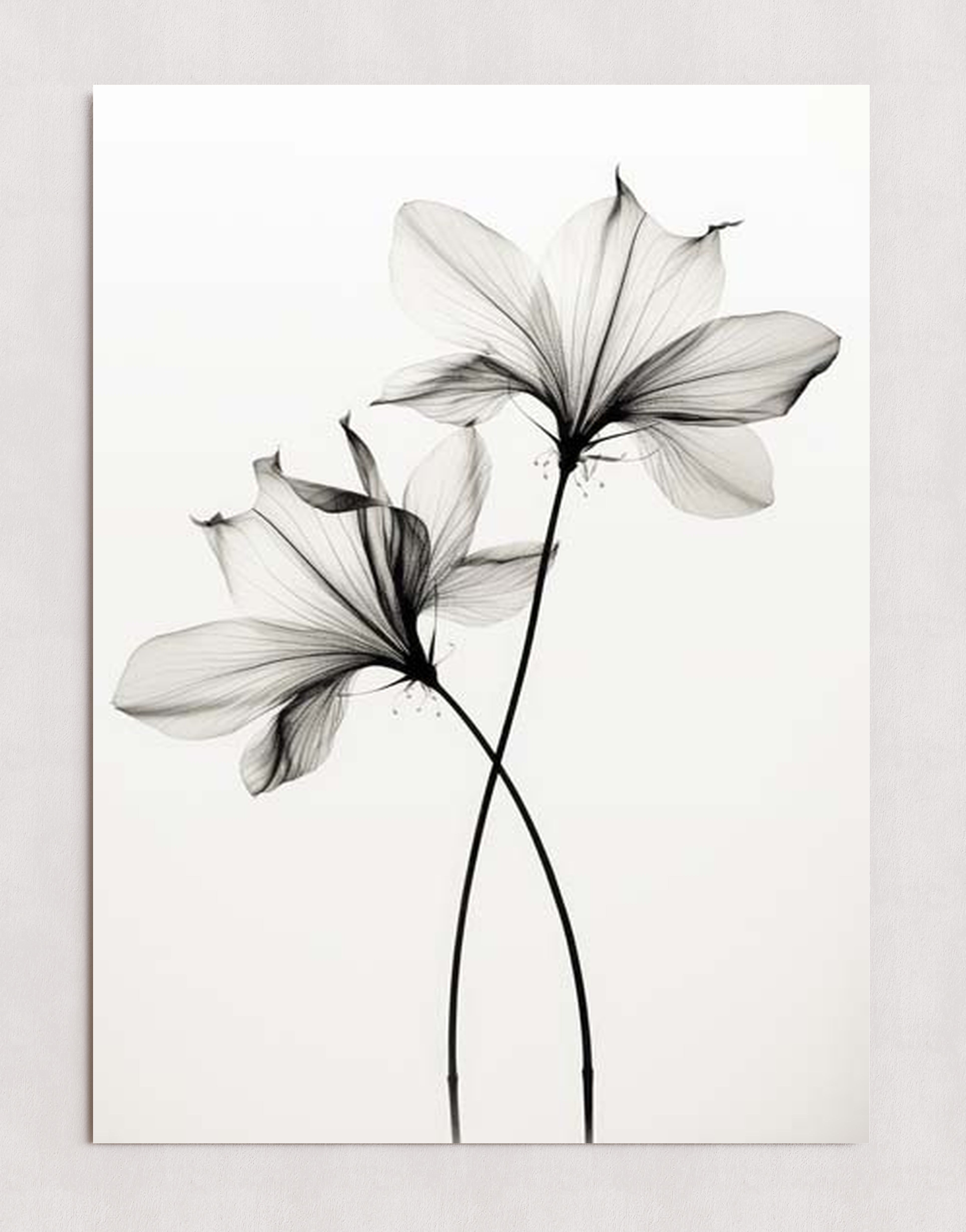 MPPR-0000-0000-0000-20X30-P01-0190-260330-1XXXXX-140201