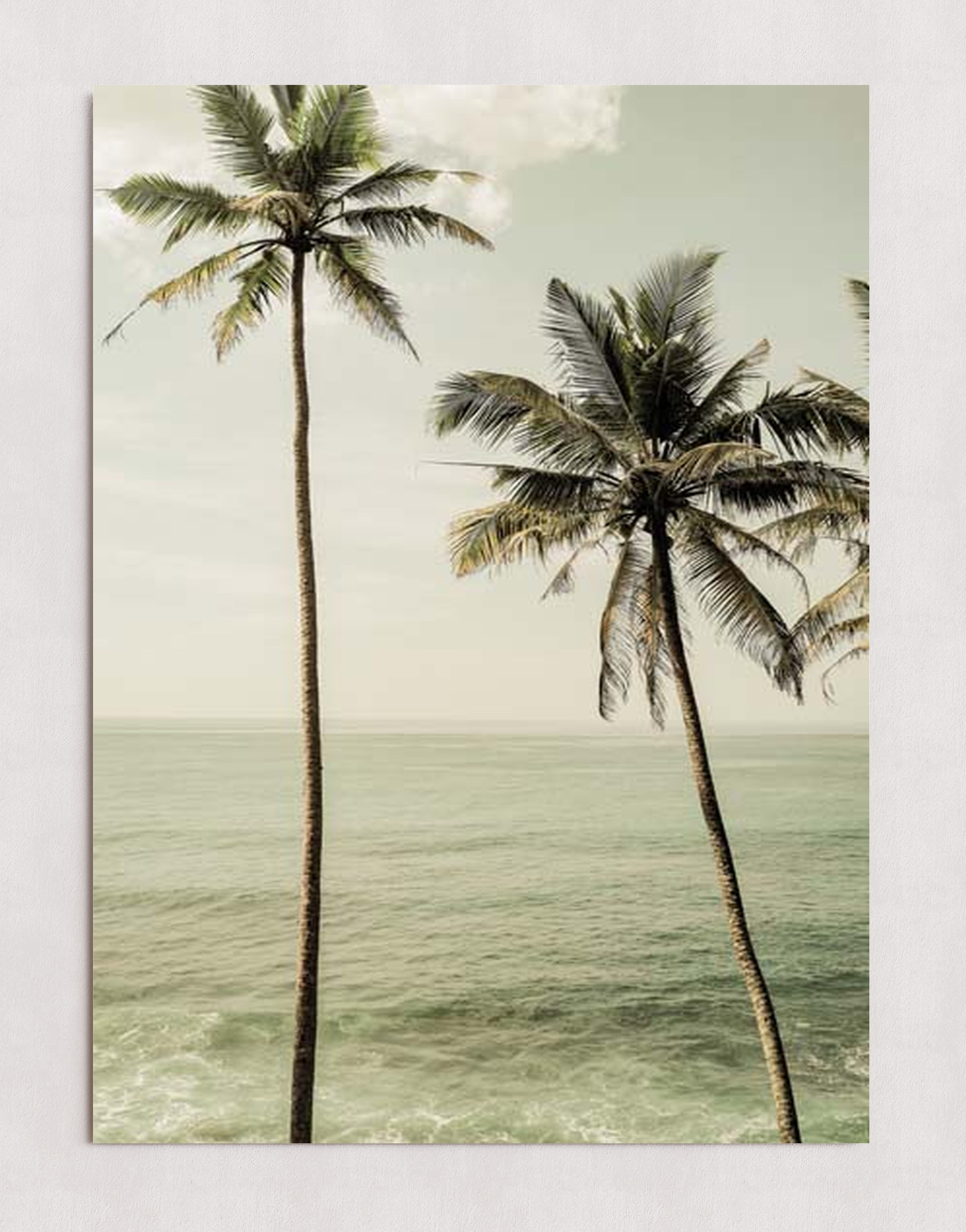 MPPR-0000-0000-0000-20X30-P01-0190-260601-1XXXXX-158601