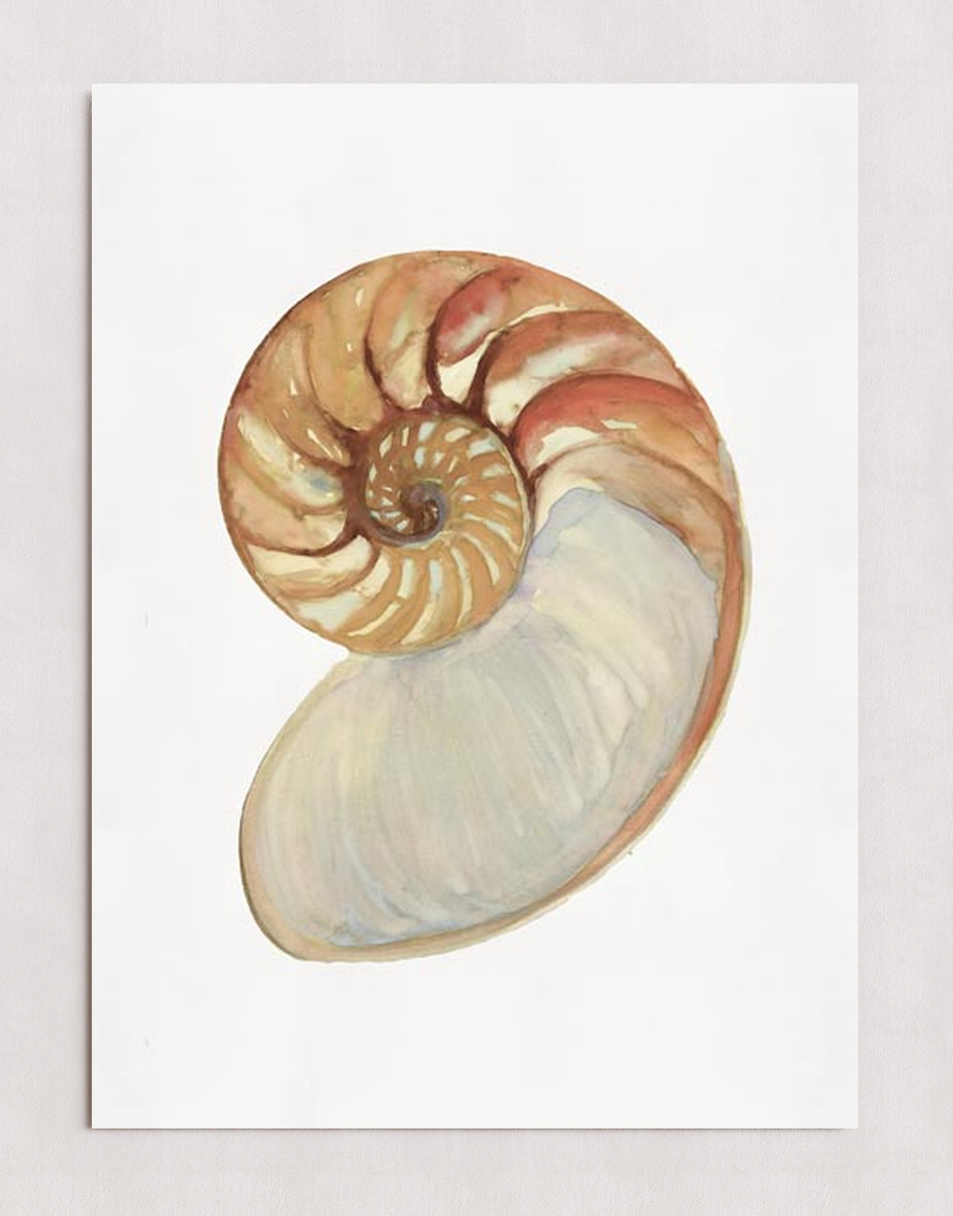 MPPR-0000-0000-0000-20X30-P01-0254-190801-STDEST-007401